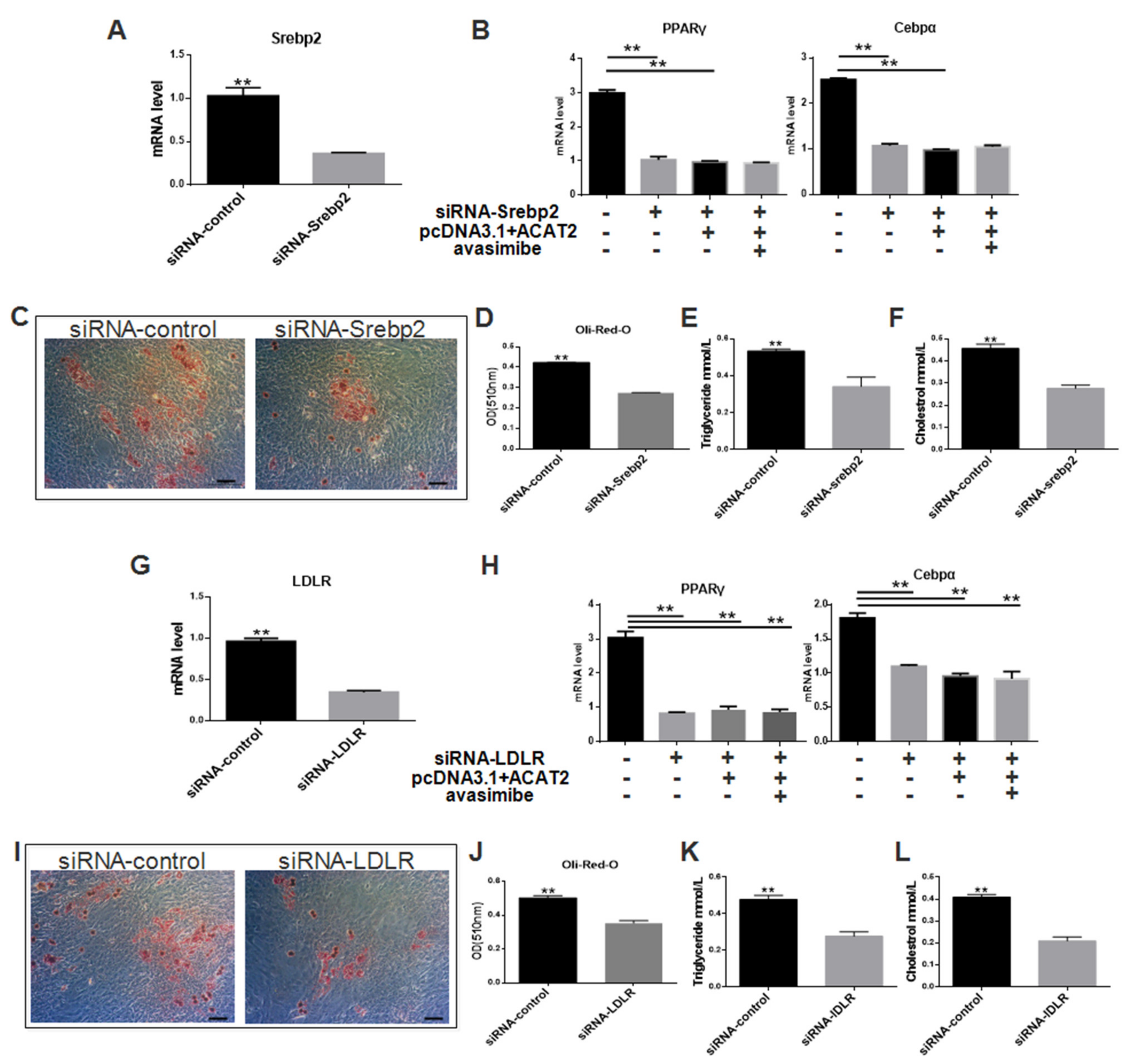 Biomolecules 12 00237 g005