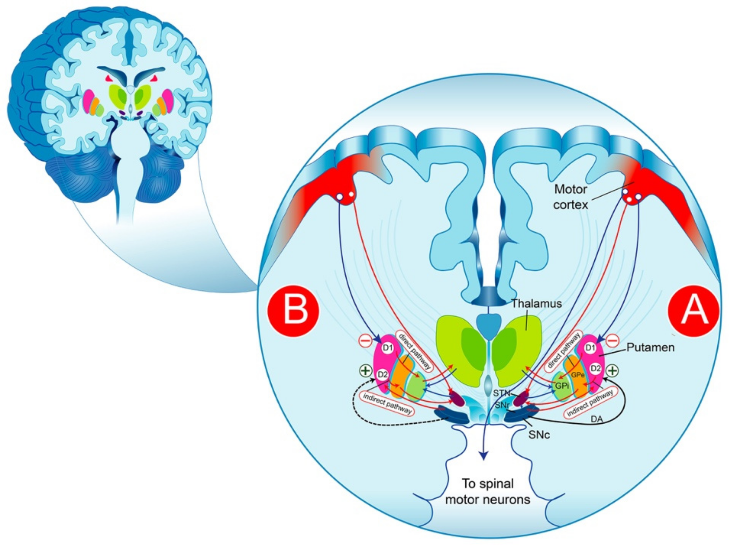 Biomolecules 12 00243 g001