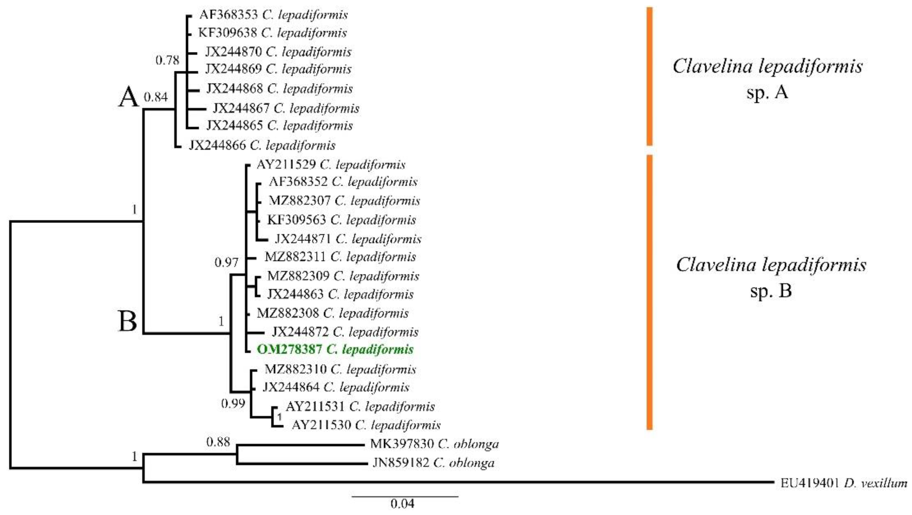 Biomolecules 12 00246 g001