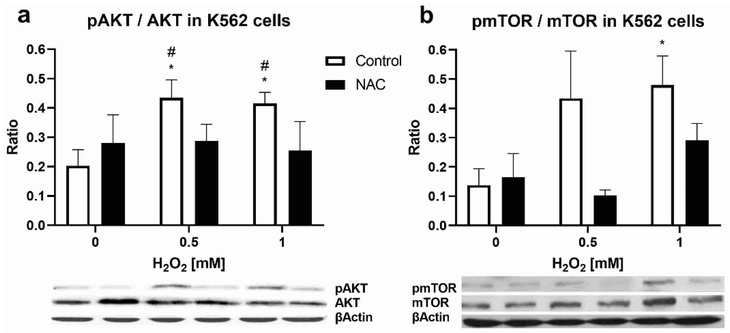 Biomolecules 12 00247 g005