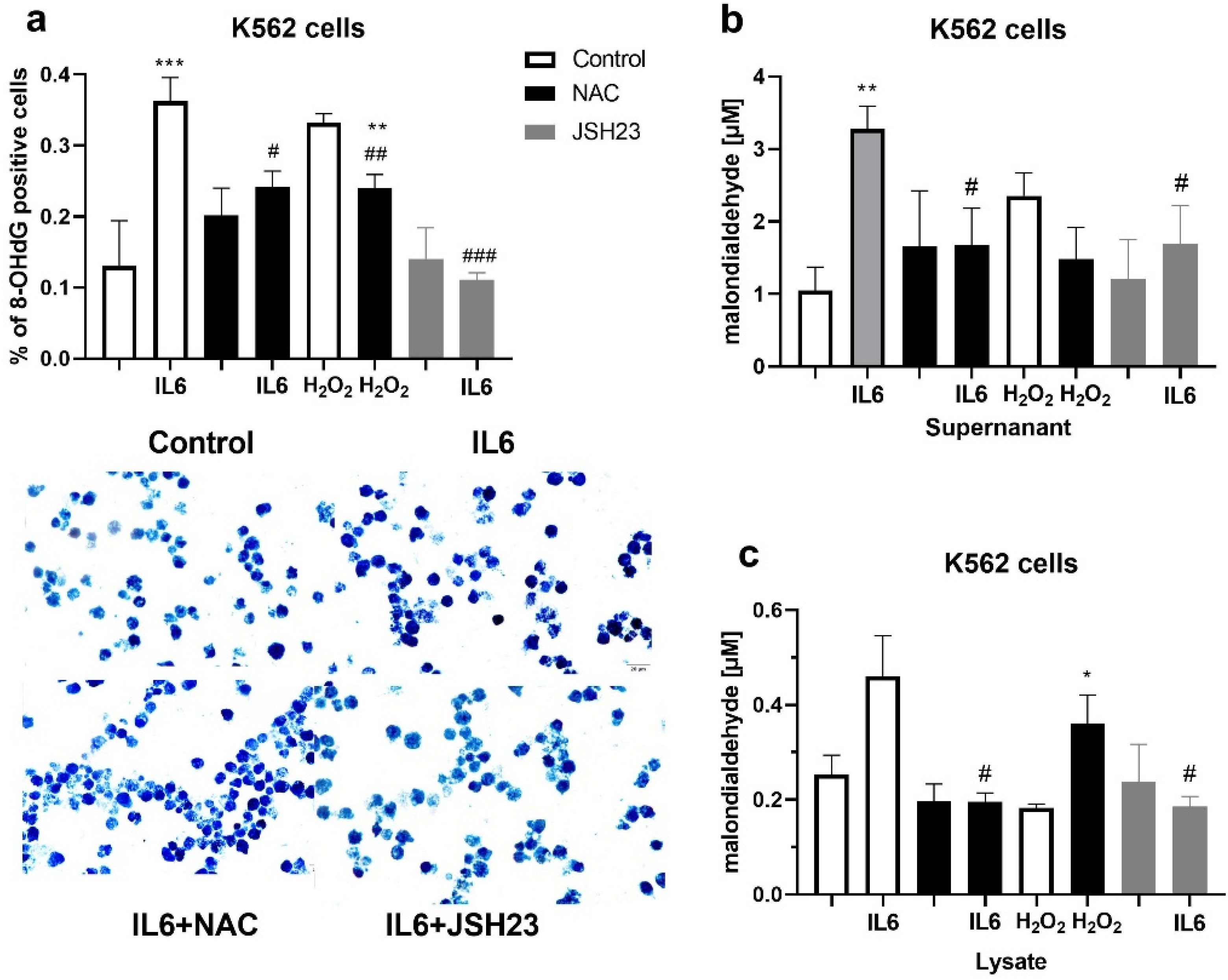 Biomolecules 12 00247 g006
