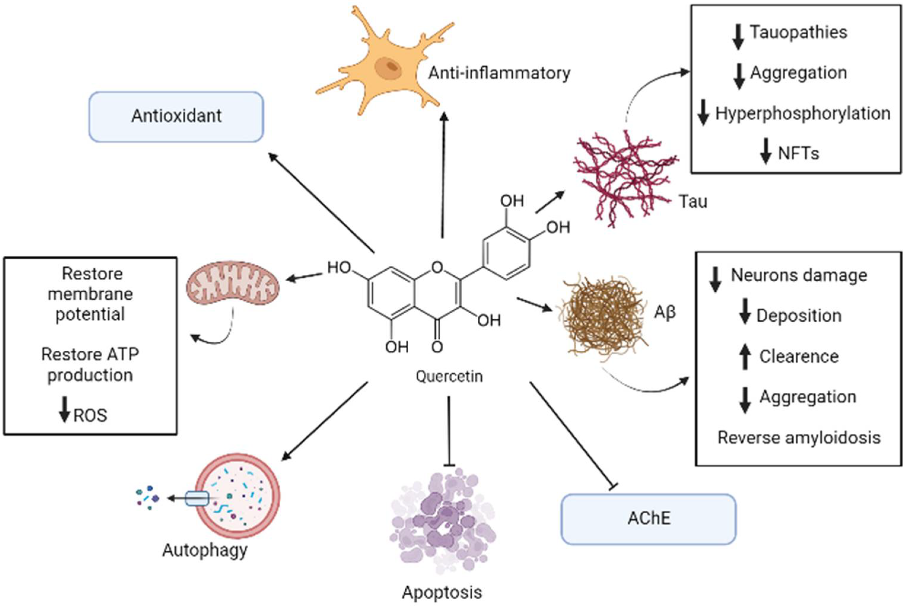 Biomolecules 12 00249 g001