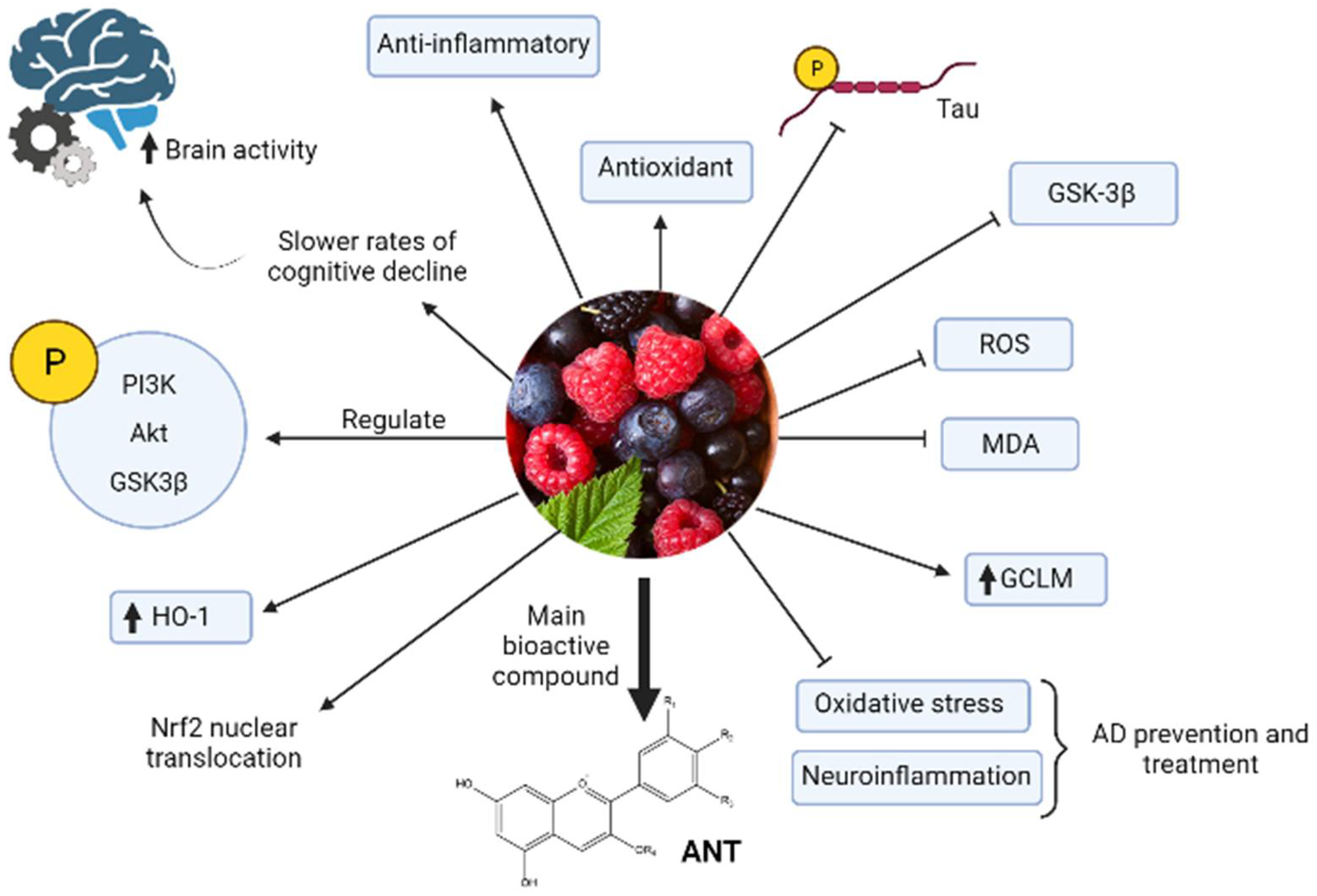 Biomolecules 12 00249 g002