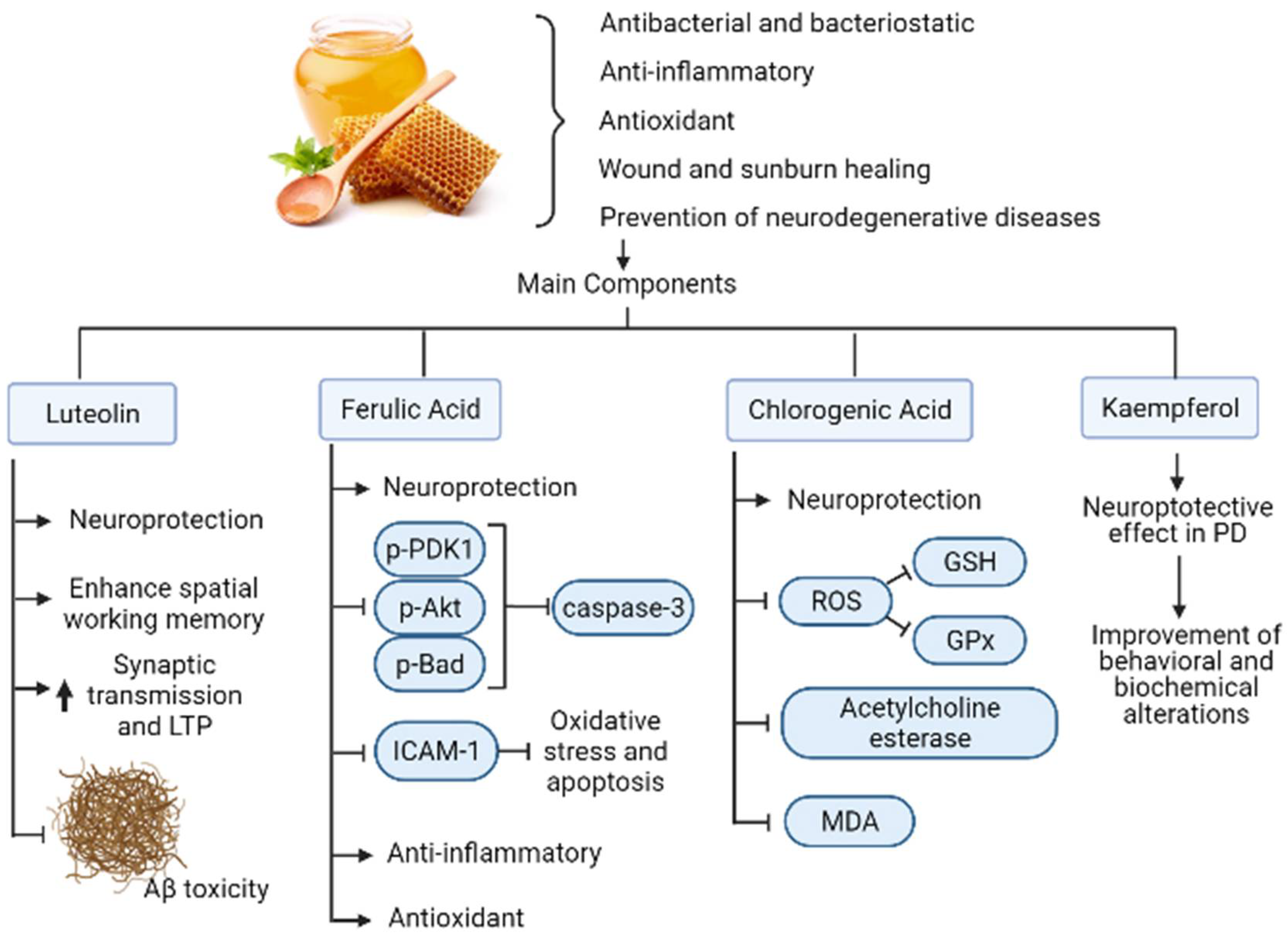 Biomolecules 12 00249 g003