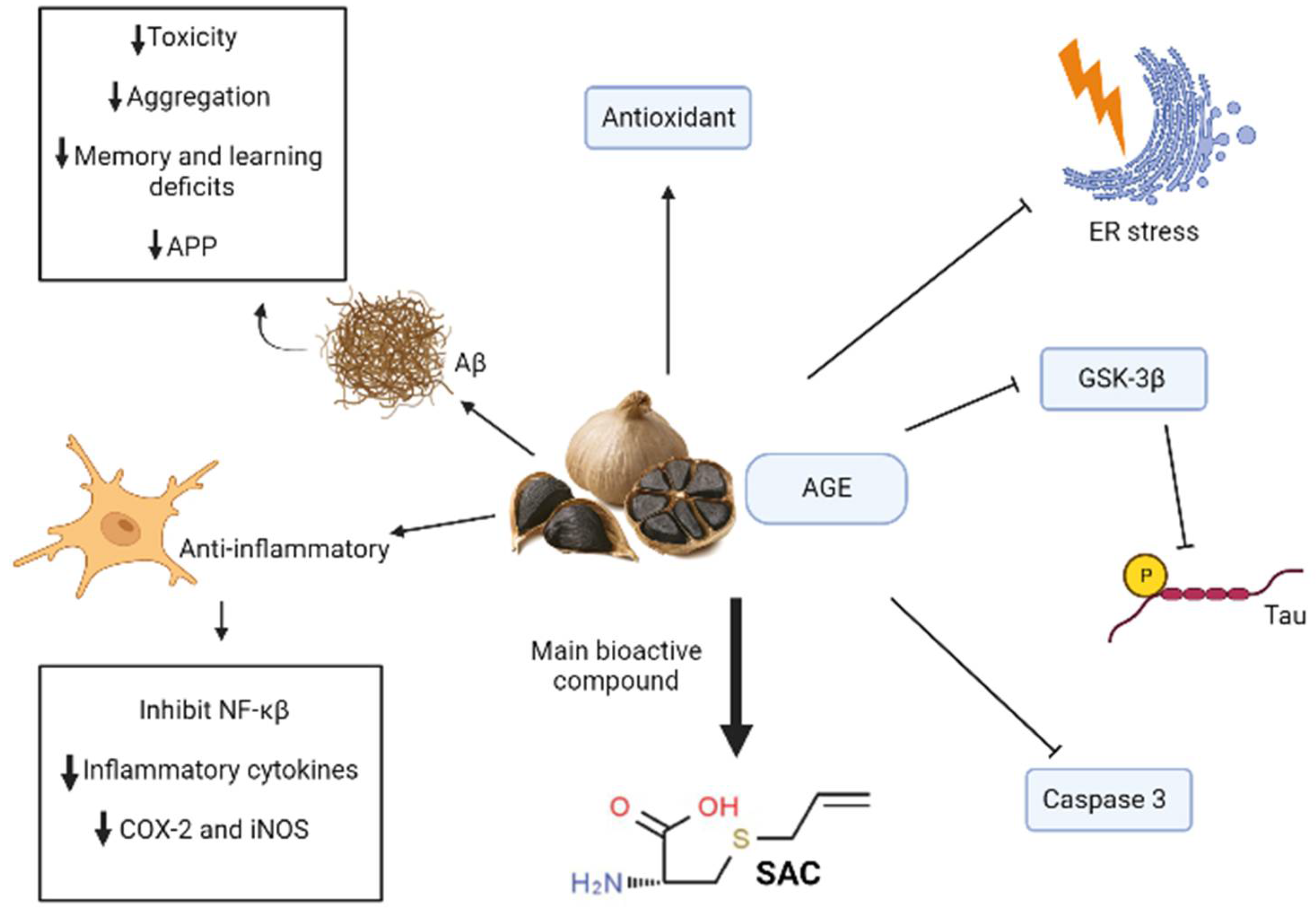 Biomolecules 12 00249 g005