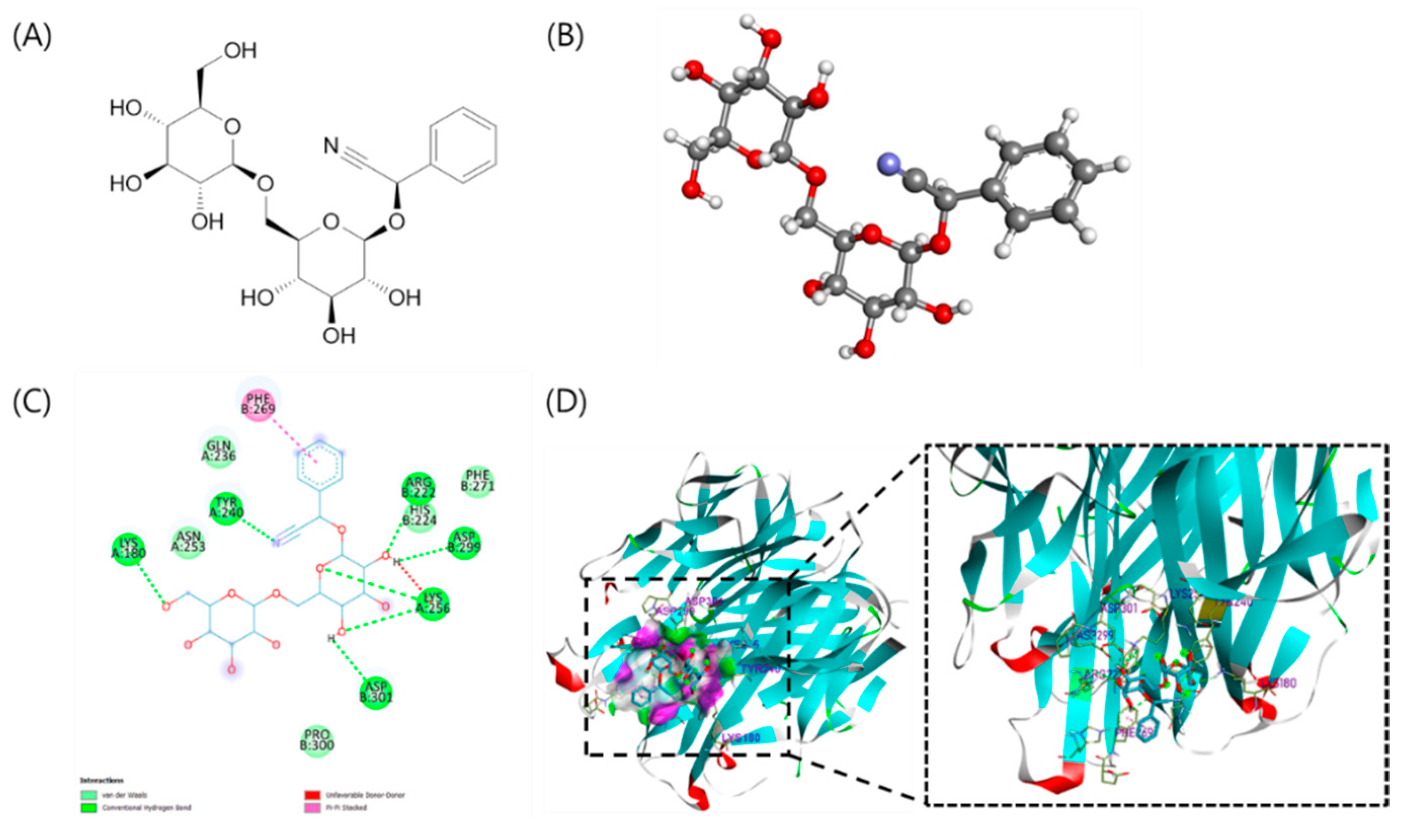 Biomolecules 12 00256 g001 Biomolecules 12 00256 g001