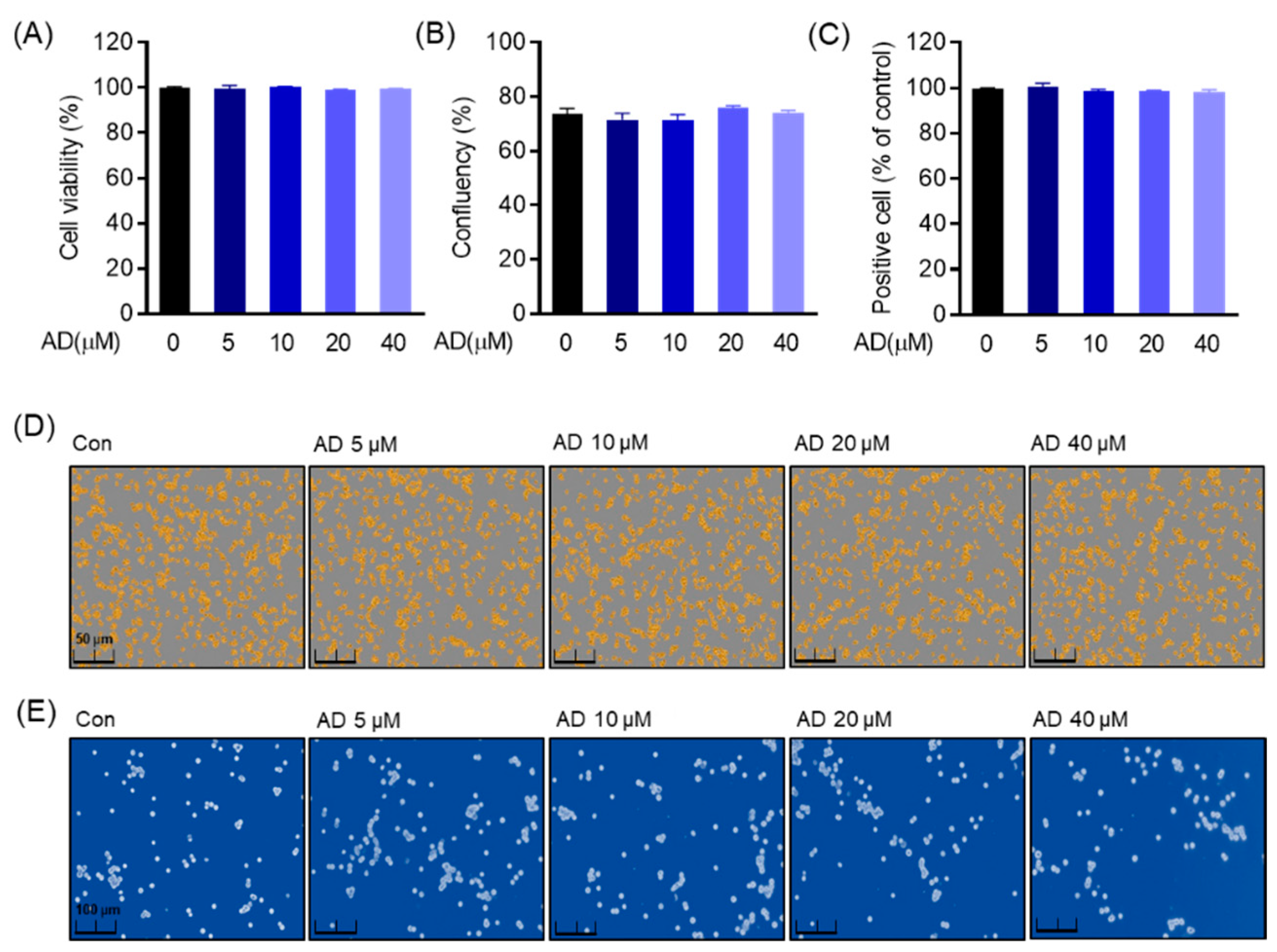 Biomolecules 12 00256 g002 Biomolecules 12 00256 g002