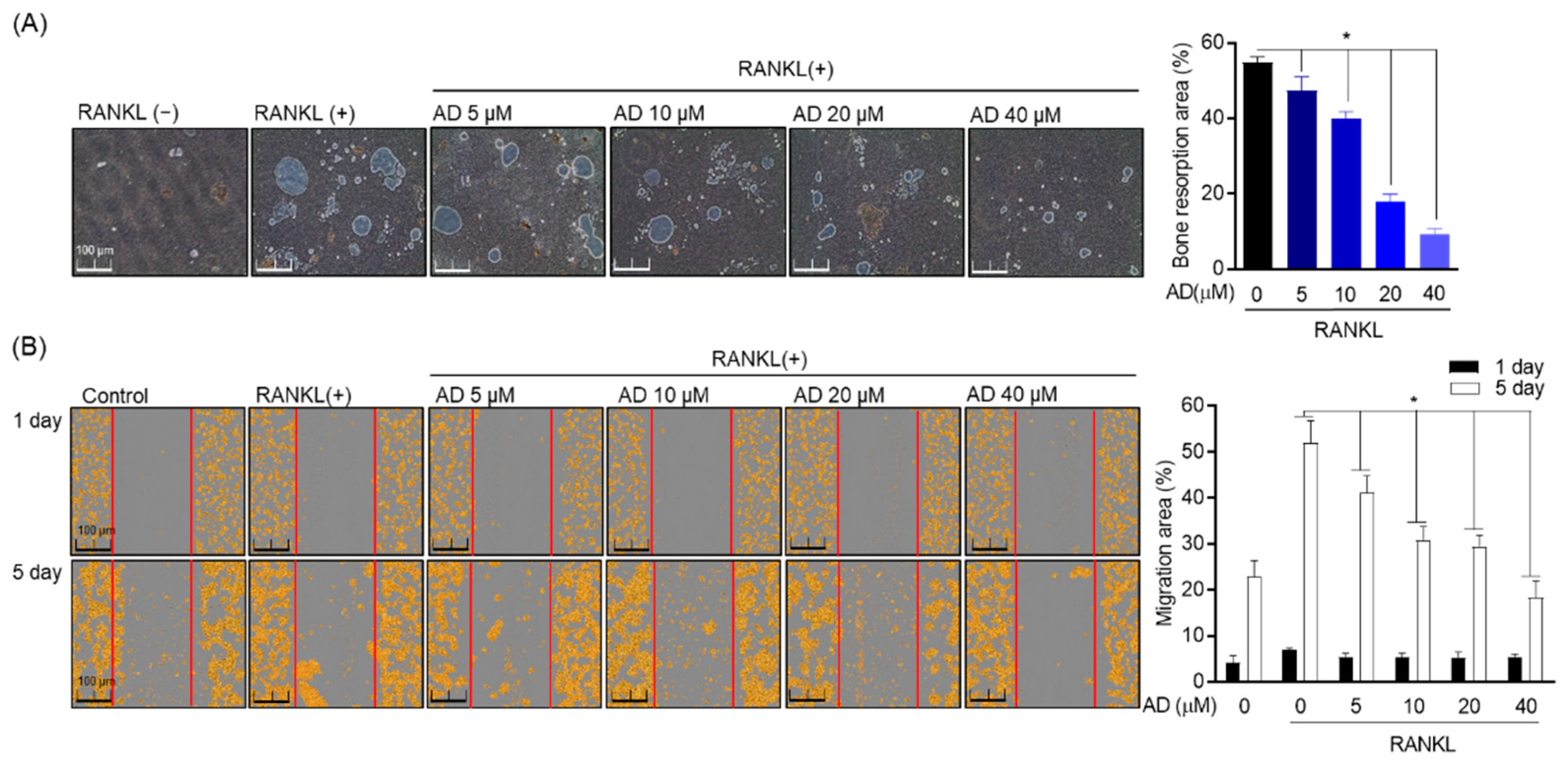 Biomolecules 12 00256 g004 Biomolecules 12 00256 g004