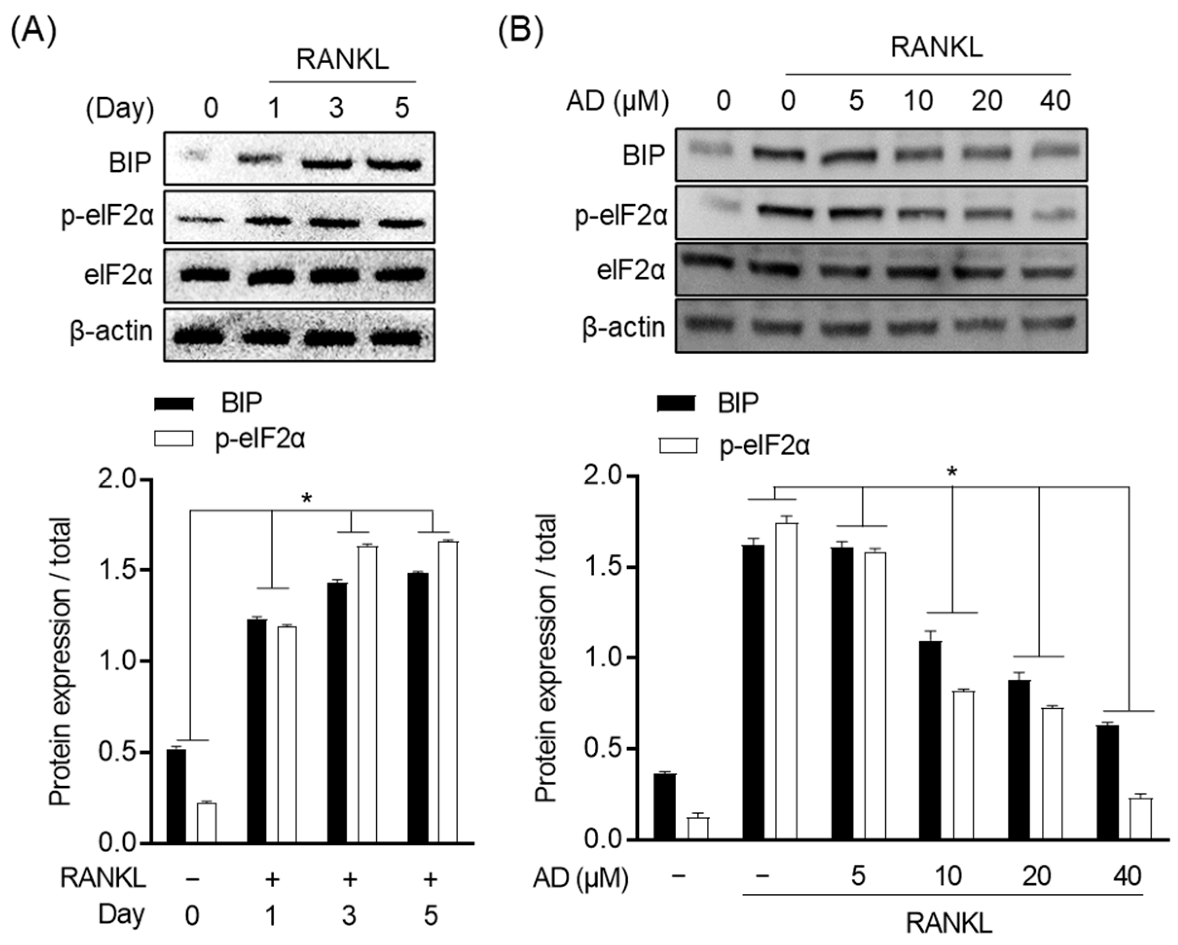 Biomolecules 12 00256 g005 Biomolecules 12 00256 g005