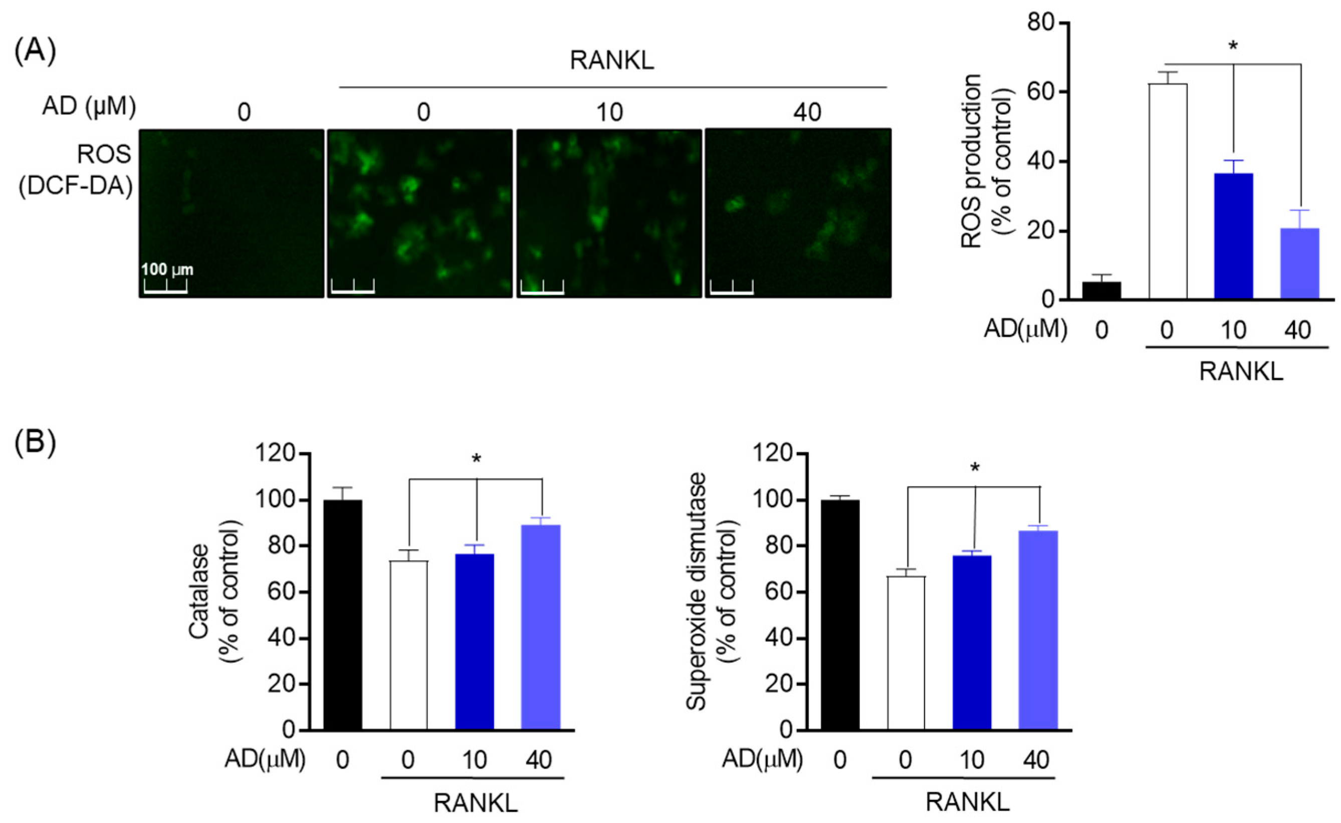 Biomolecules 12 00256 g006 Biomolecules 12 00256 g006