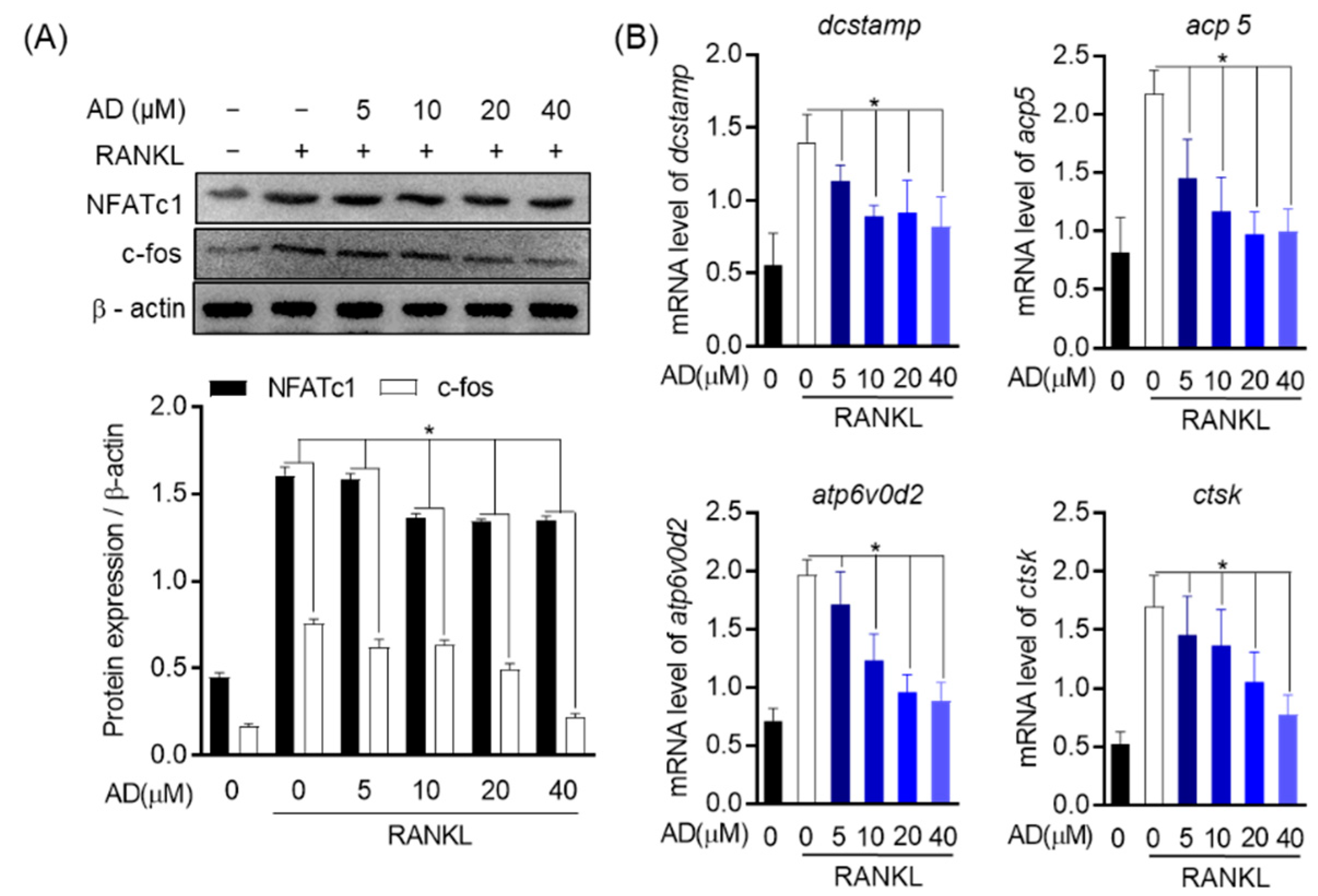 Biomolecules 12 00256 g007 Biomolecules 12 00256 g007