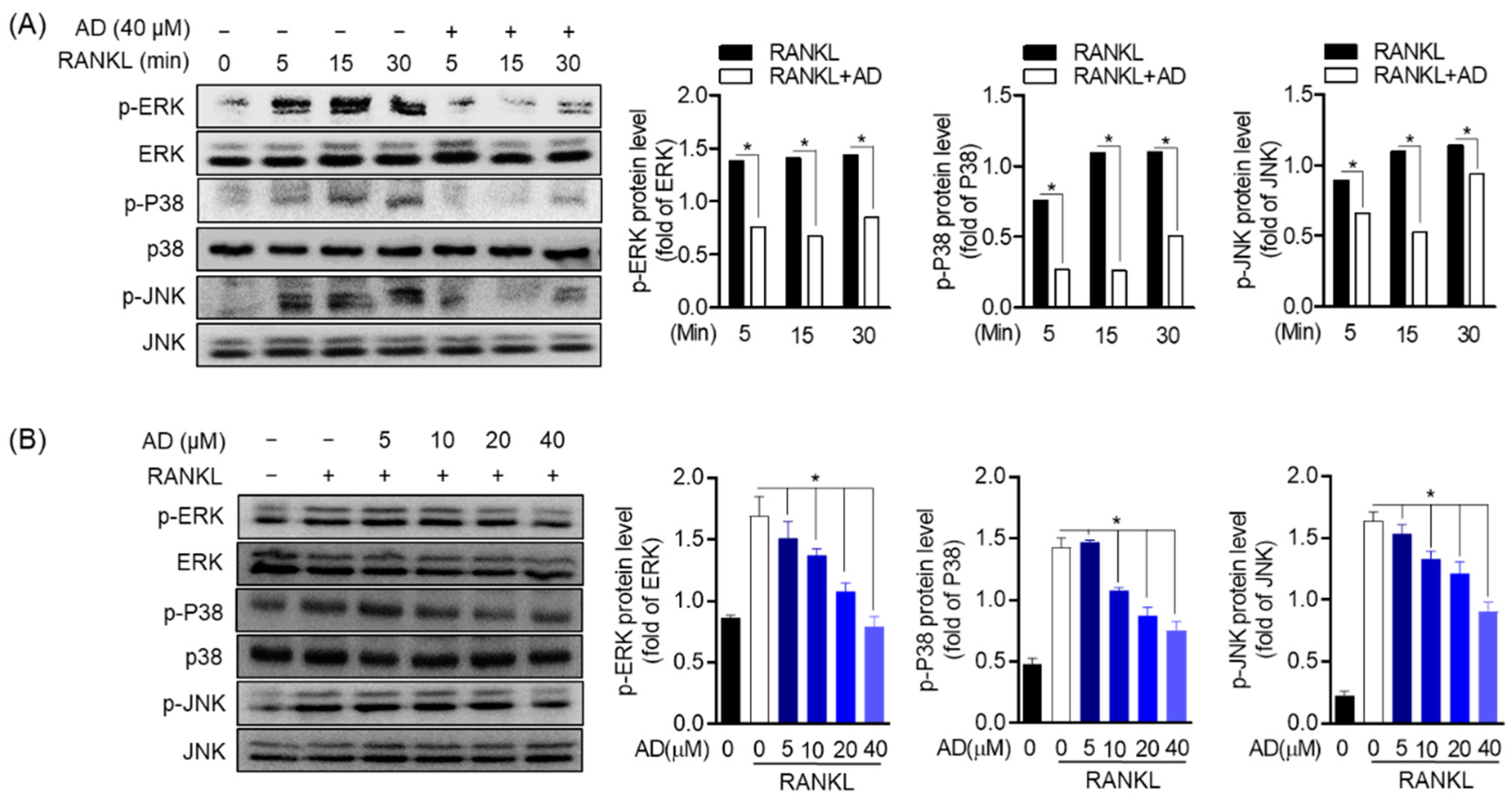 Biomolecules 12 00256 g008 Biomolecules 12 00256 g008