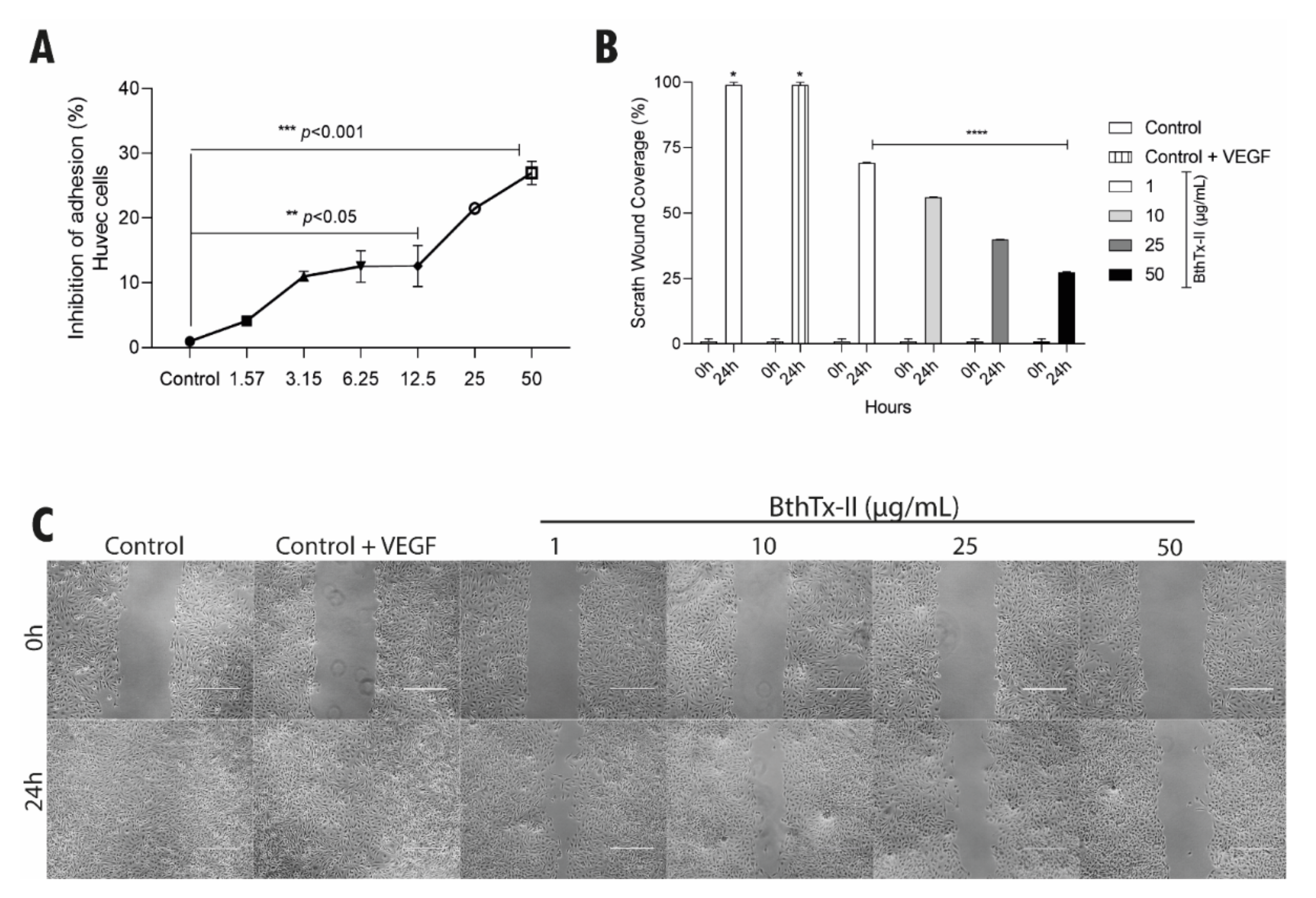 Biomolecules 12 00258 g003
