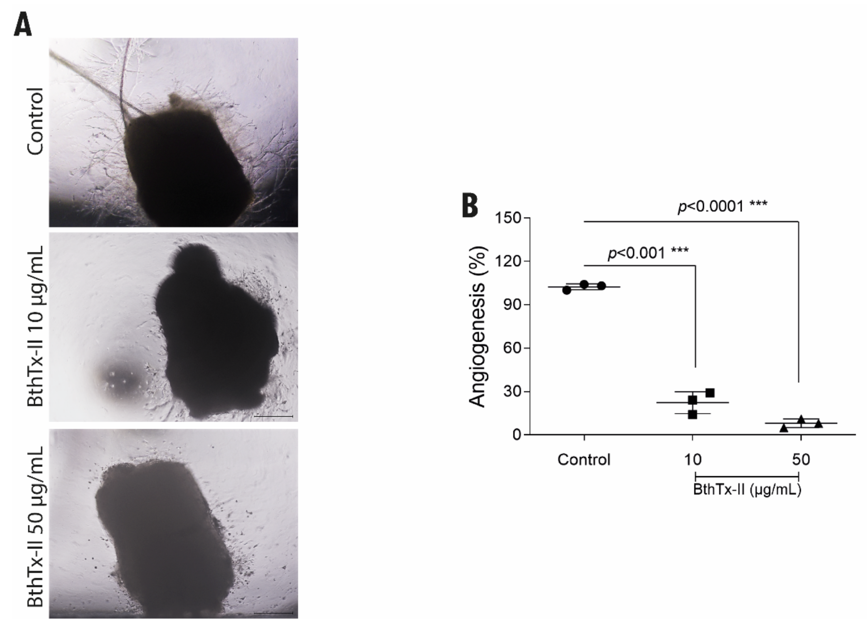 Biomolecules 12 00258 g005