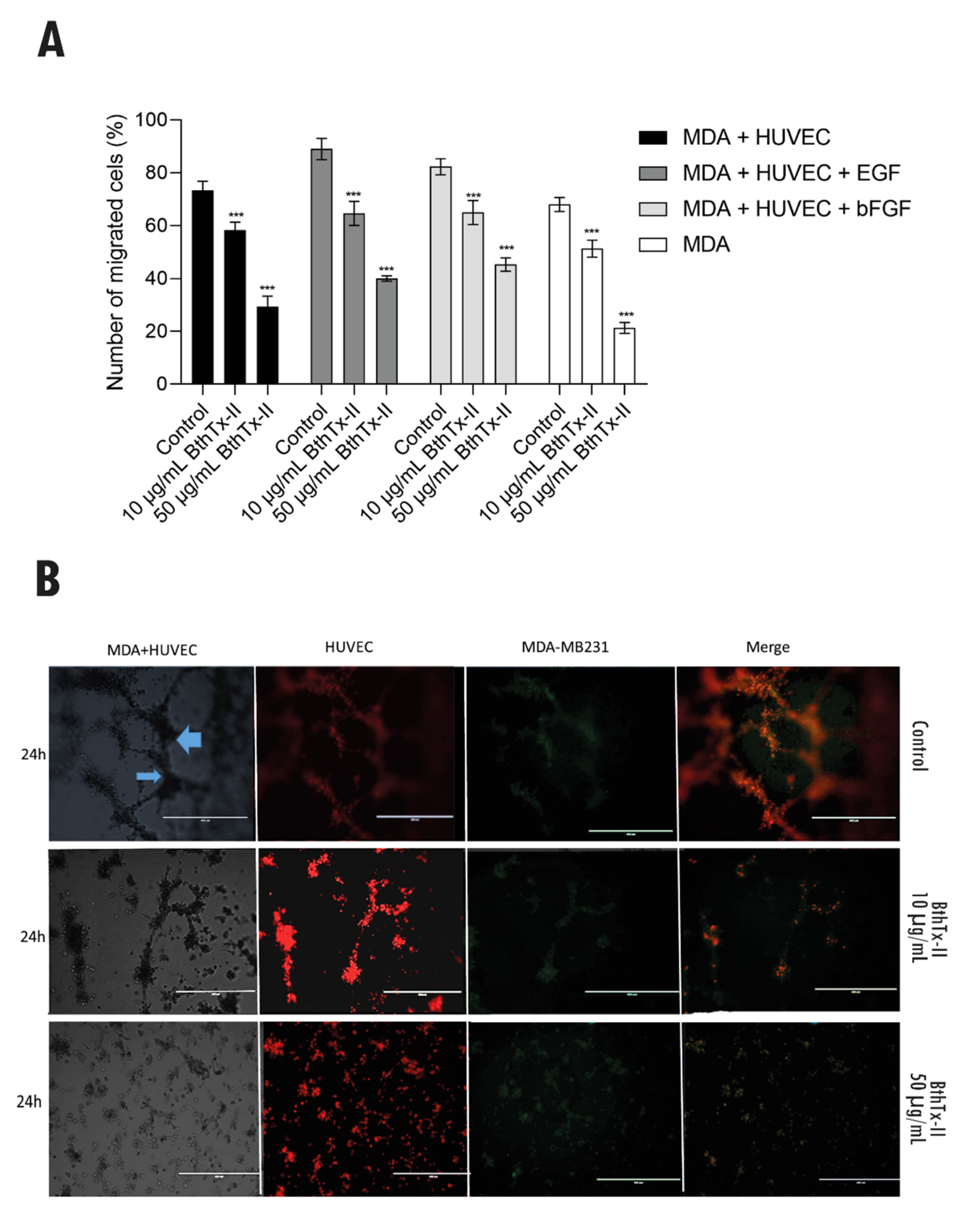 Biomolecules 12 00258 g006
