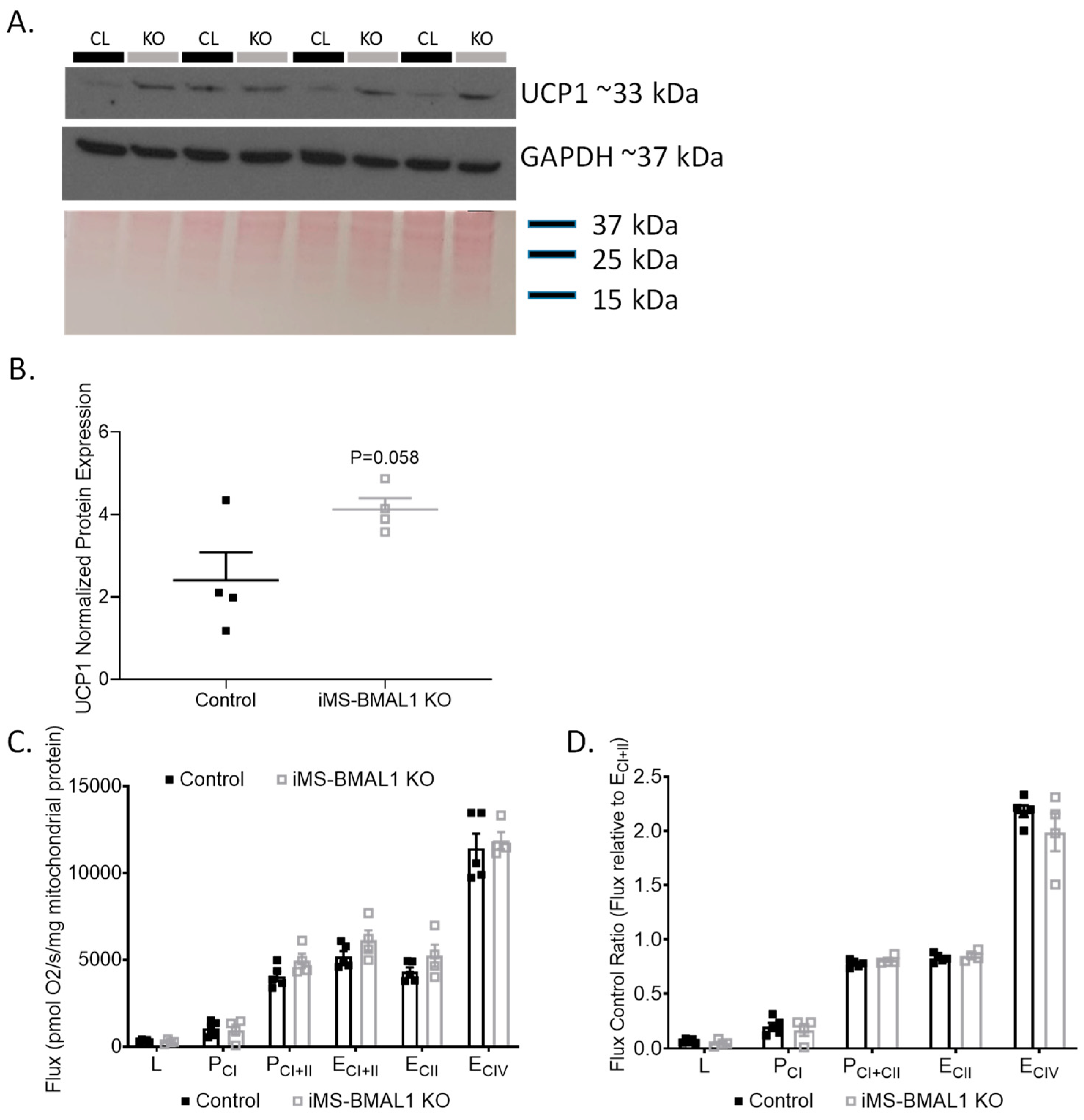 Biomolecules 12 00261 g003