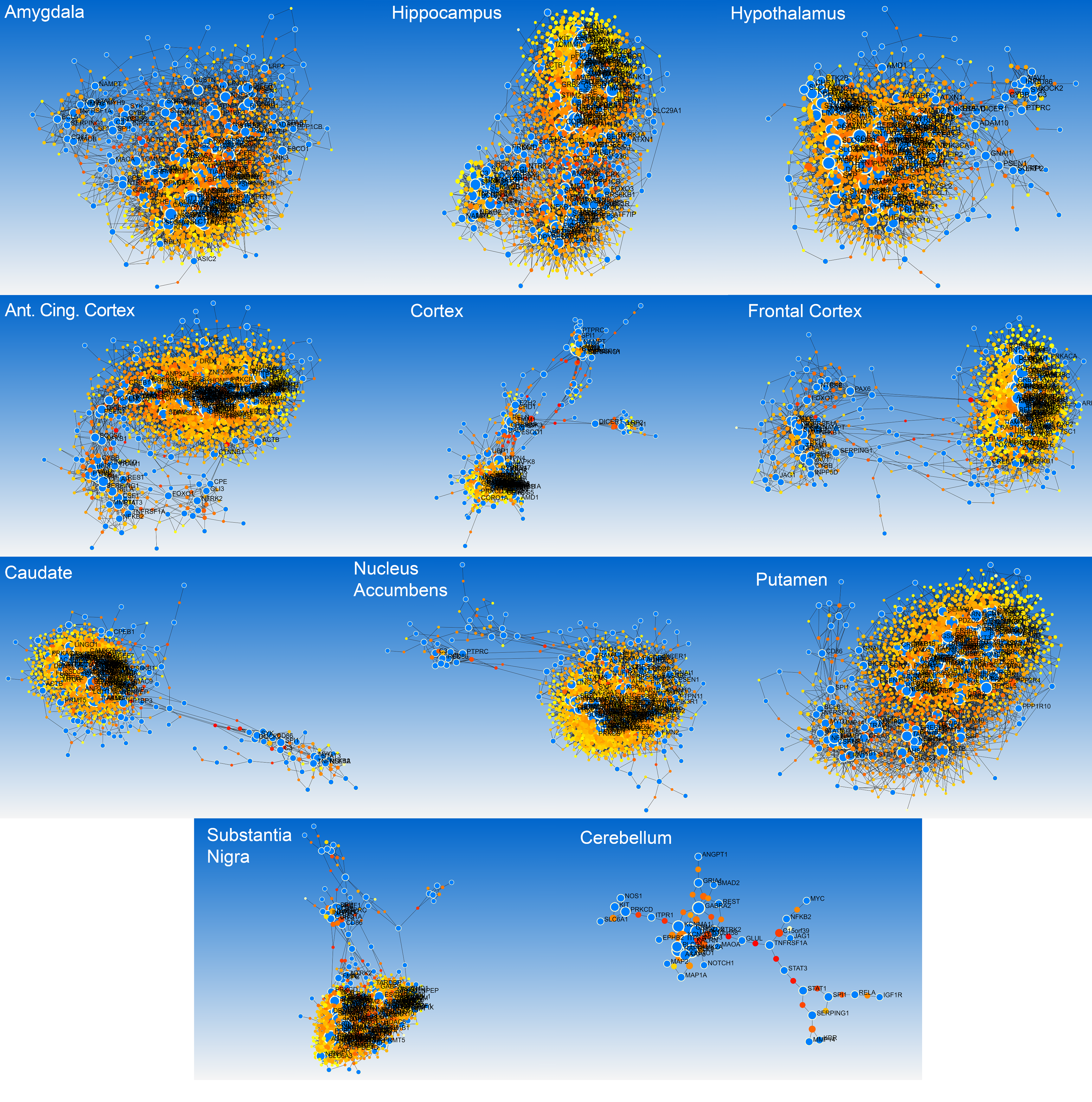 Biomolecules 12 00263 g004