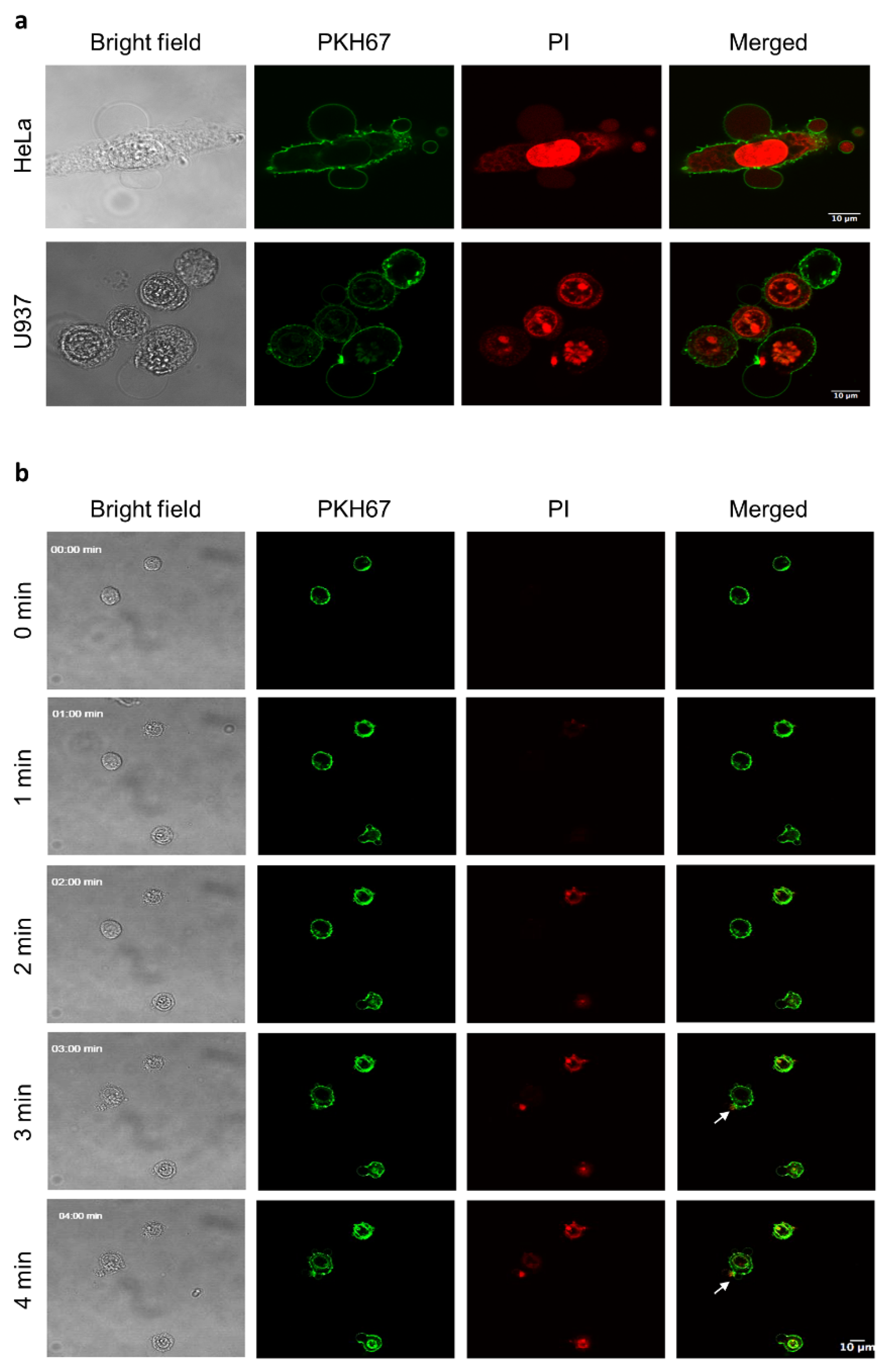 Biomolecules 12 00264 g002