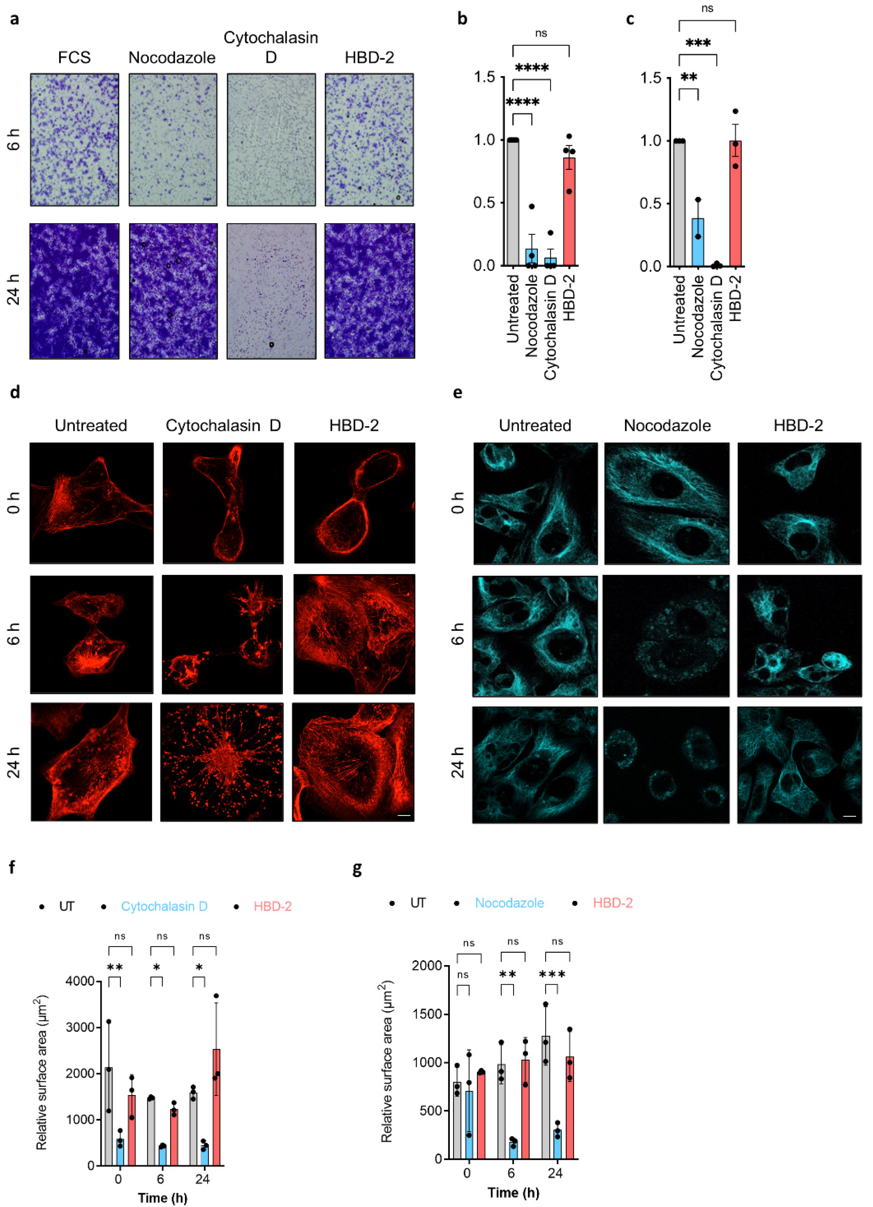 Biomolecules 12 00264 g003