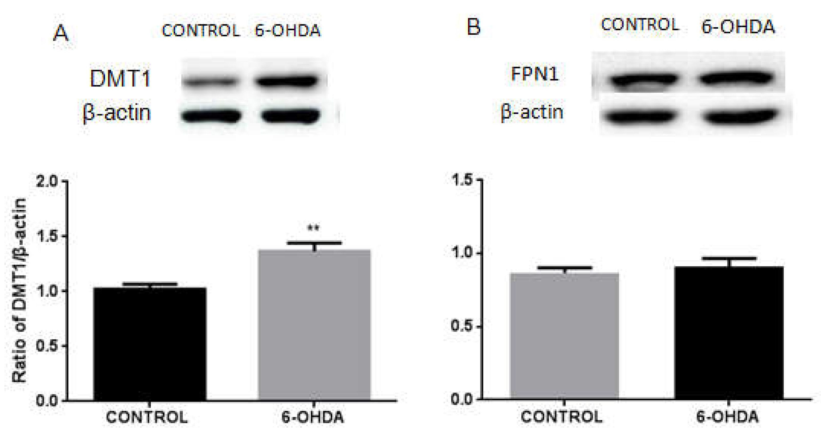Biomolecules 12 00266 g001