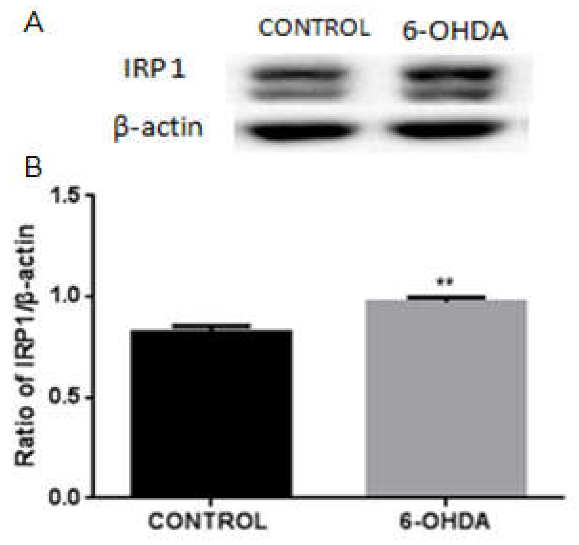 Biomolecules 12 00266 g002