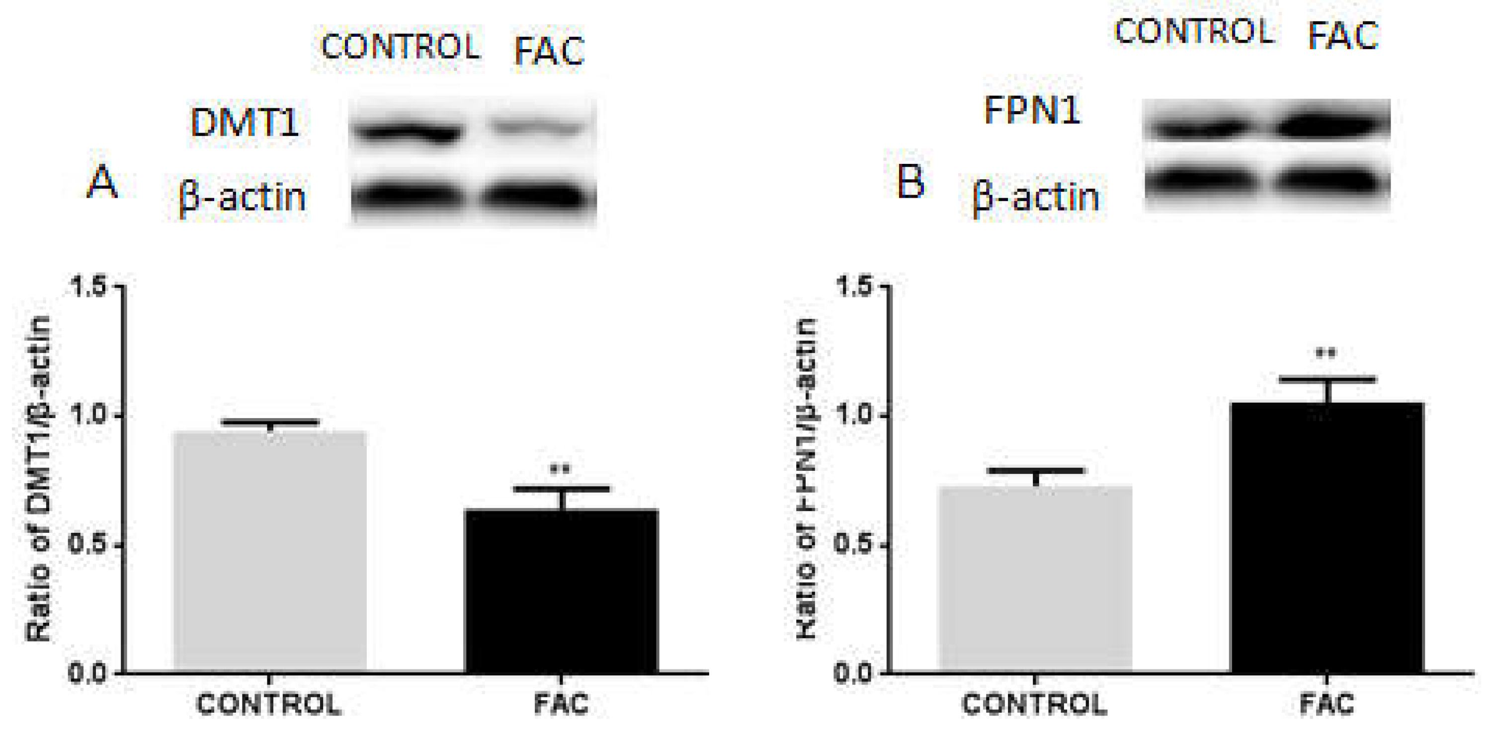 Biomolecules 12 00266 g006