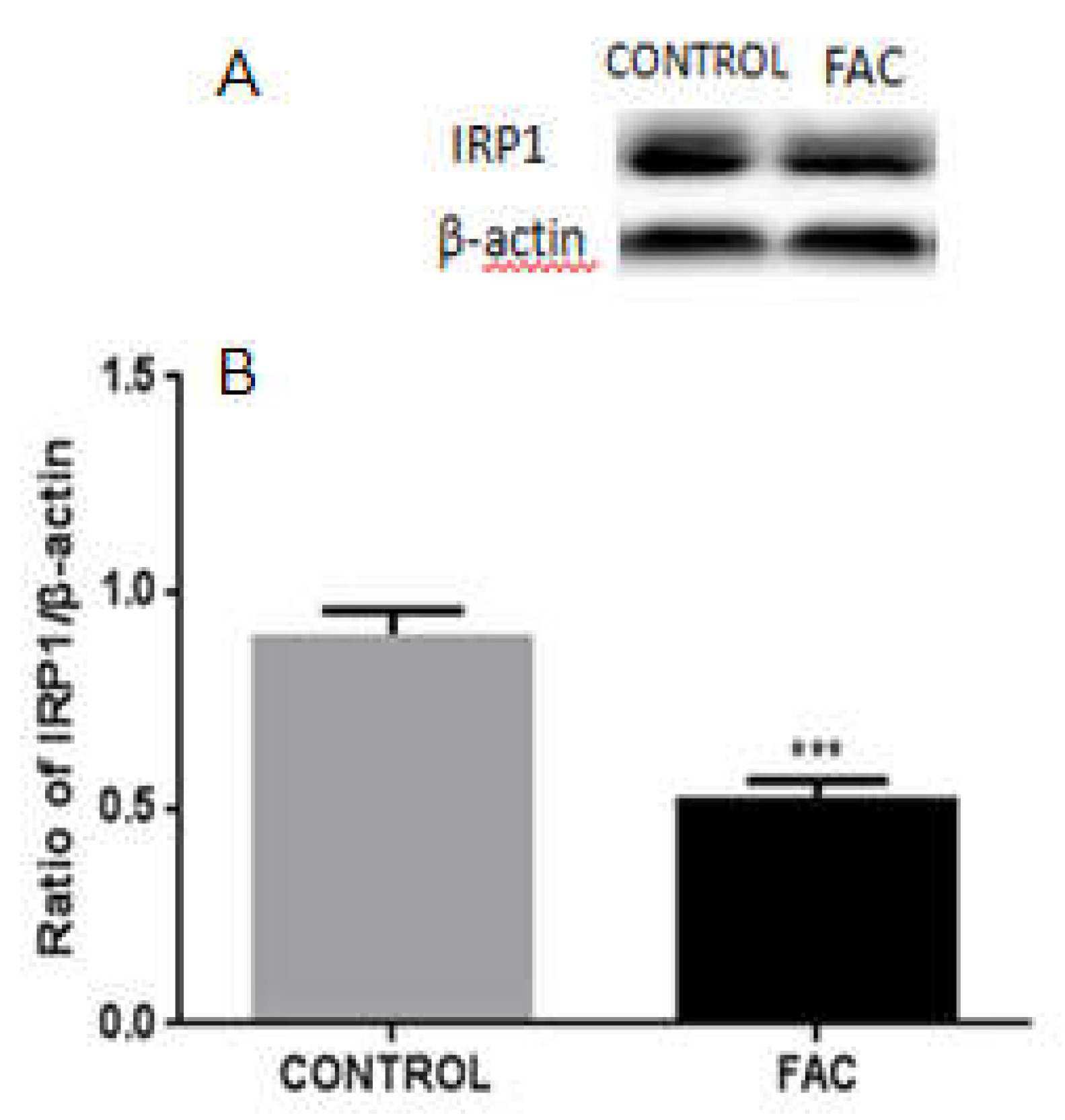 Biomolecules 12 00266 g007