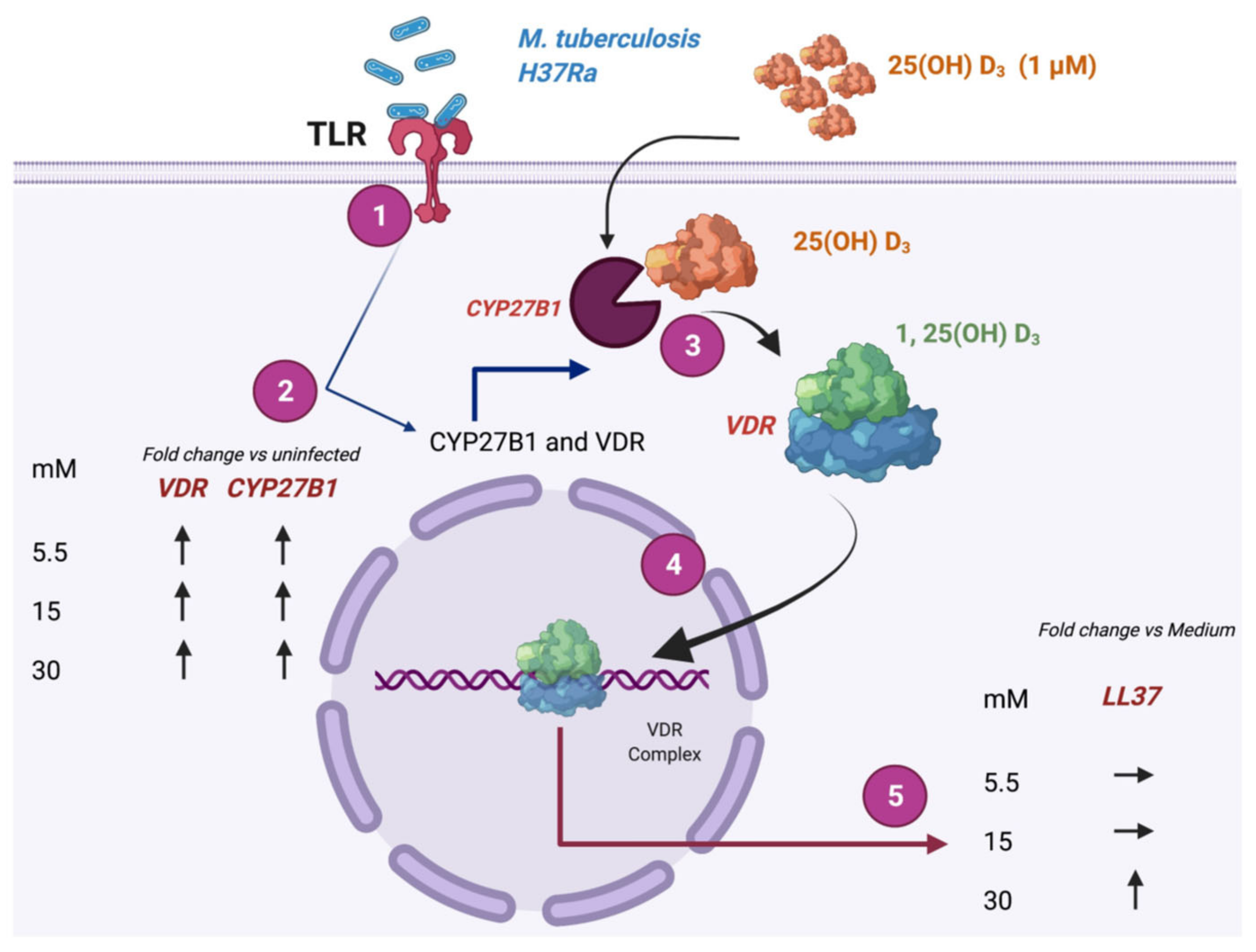 Biomolecules 12 00268 g005