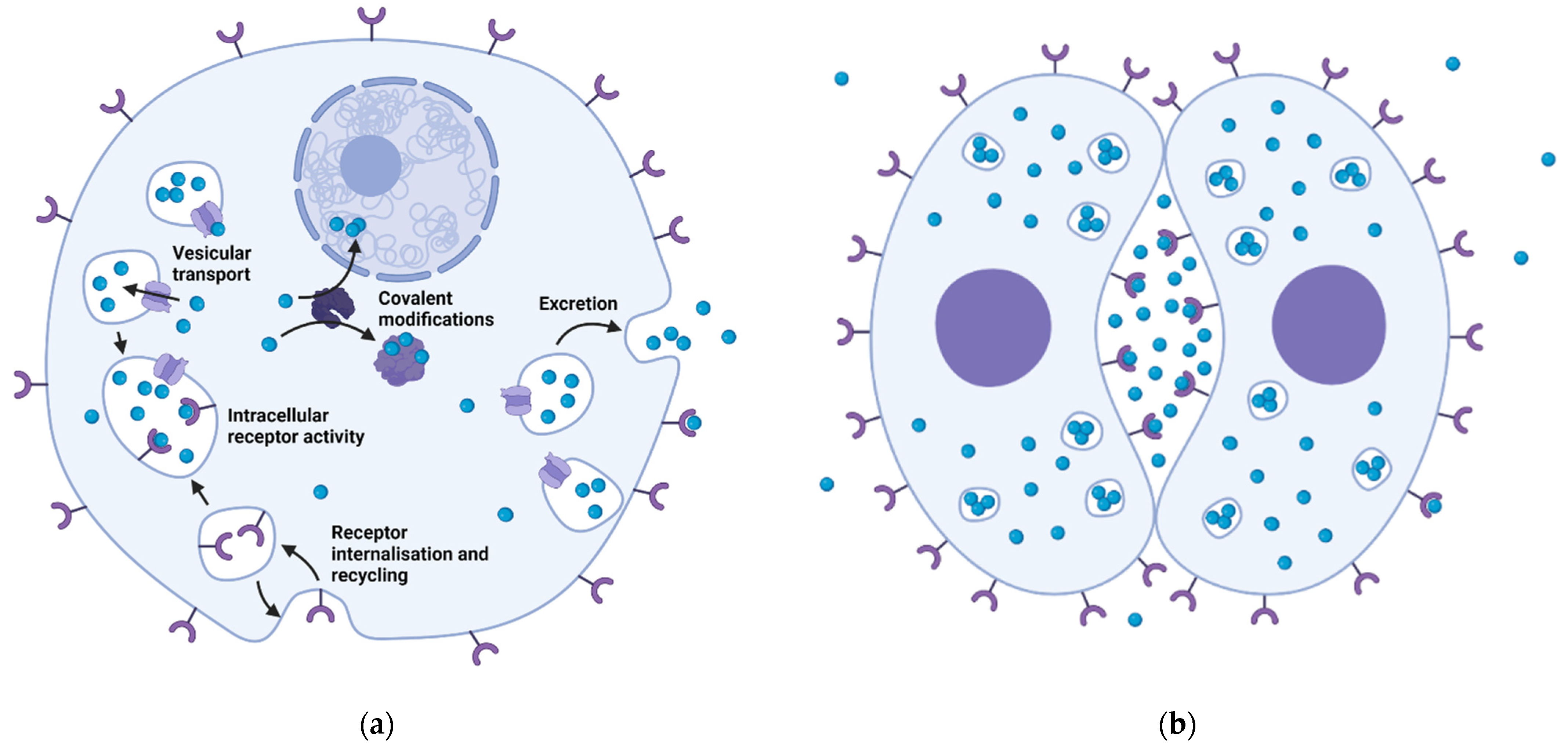 Biomolecules 12 00271 g002