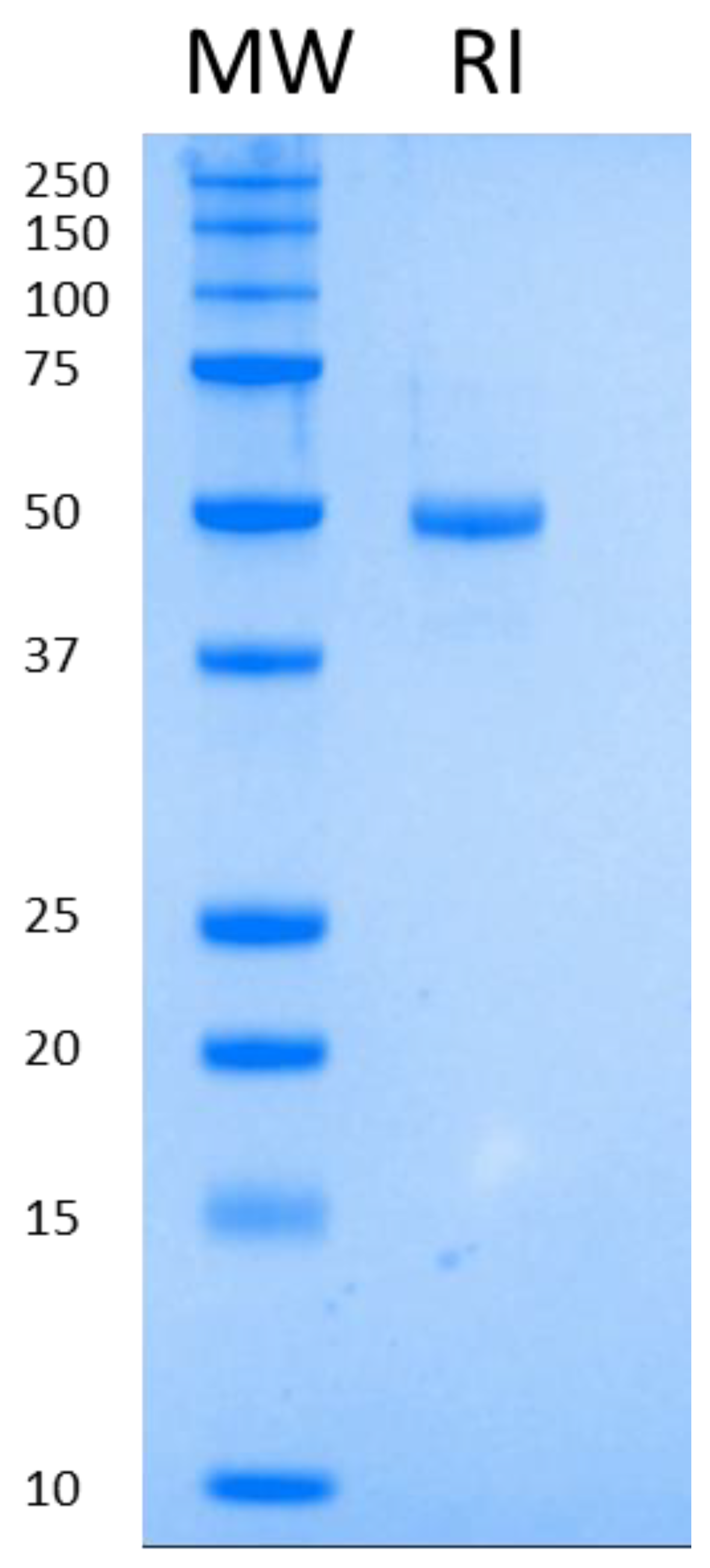 Biomolecules 12 00273 g001