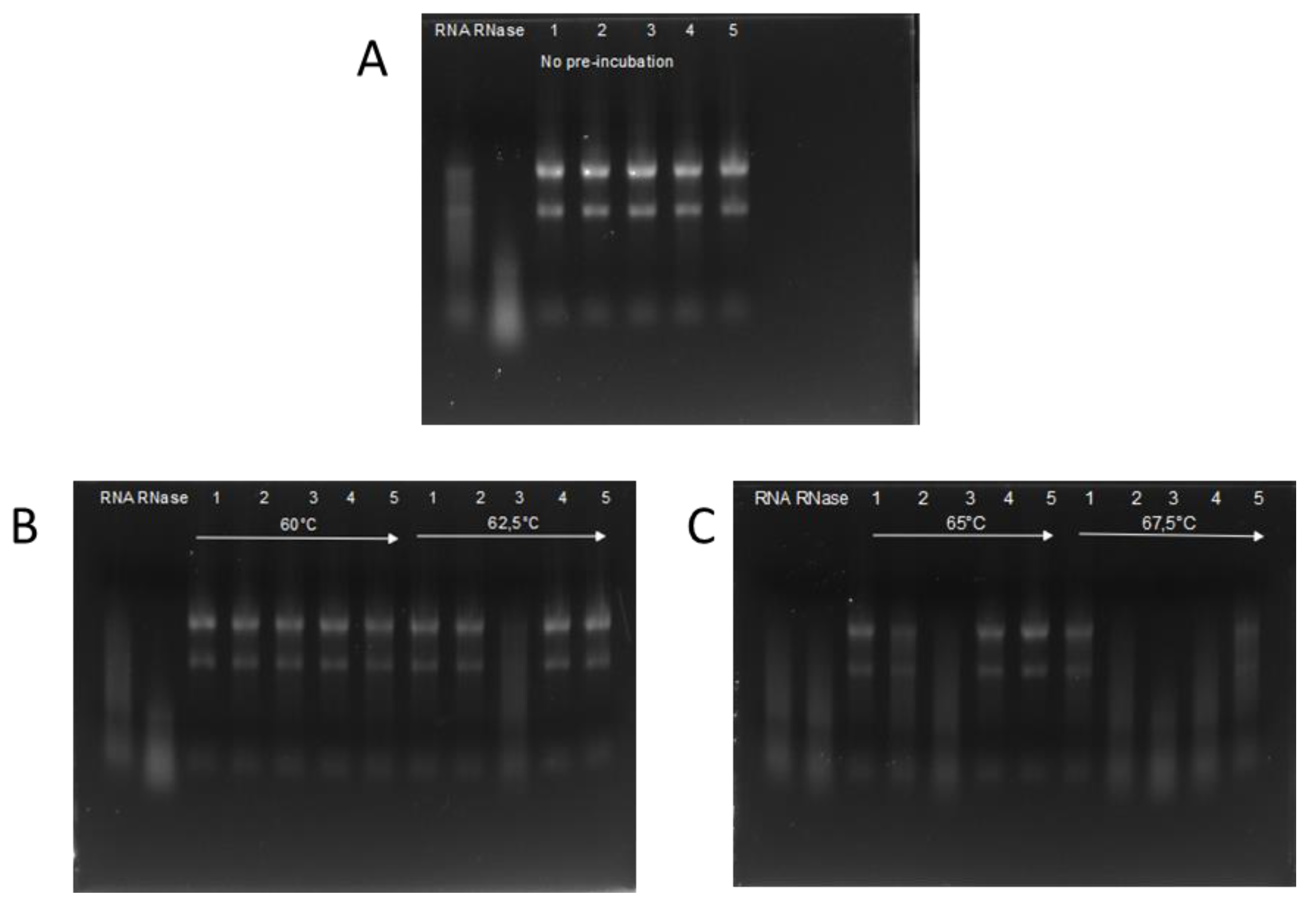 Biomolecules 12 00273 g002