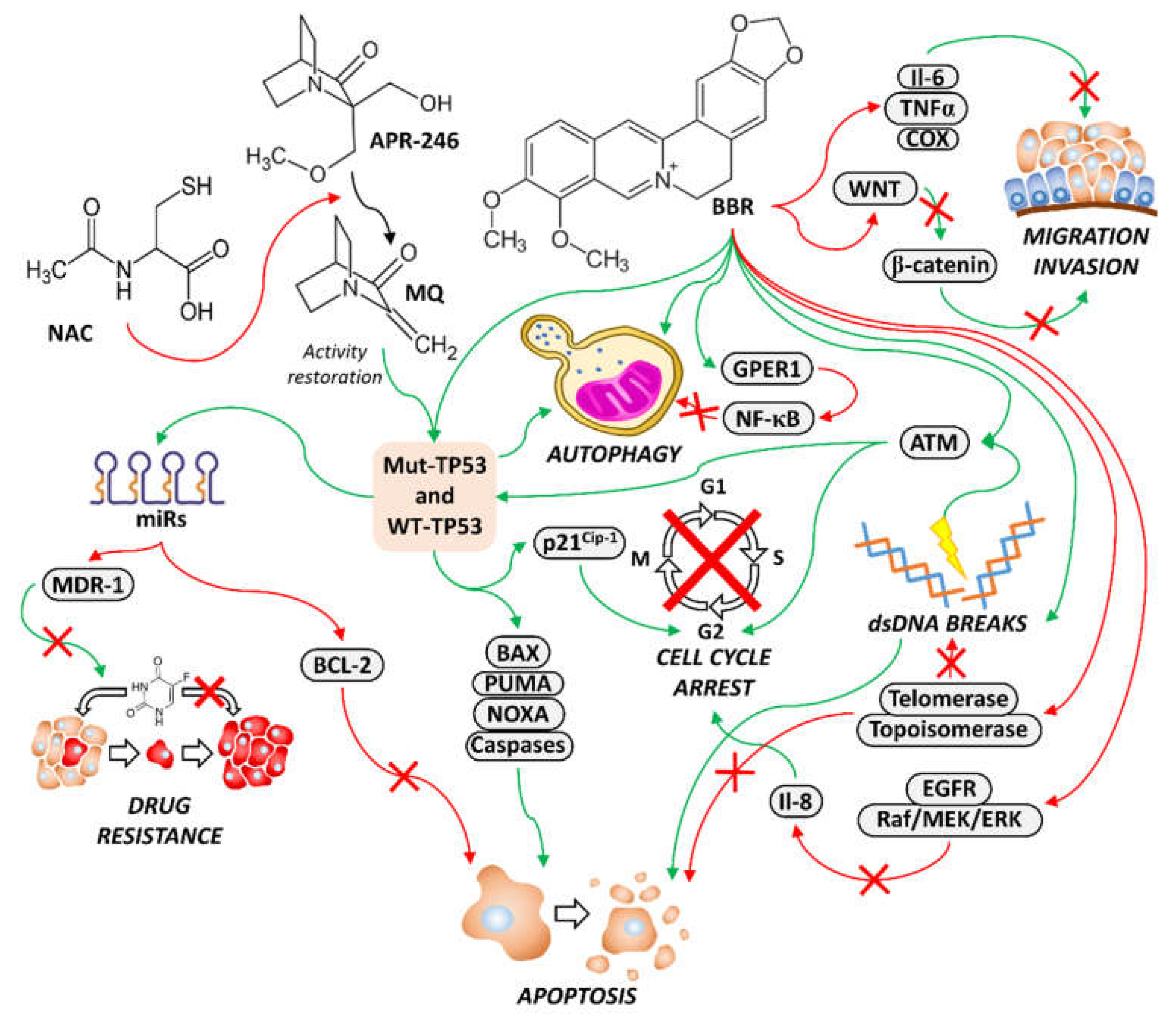 Biomolecules 12 00276 g001