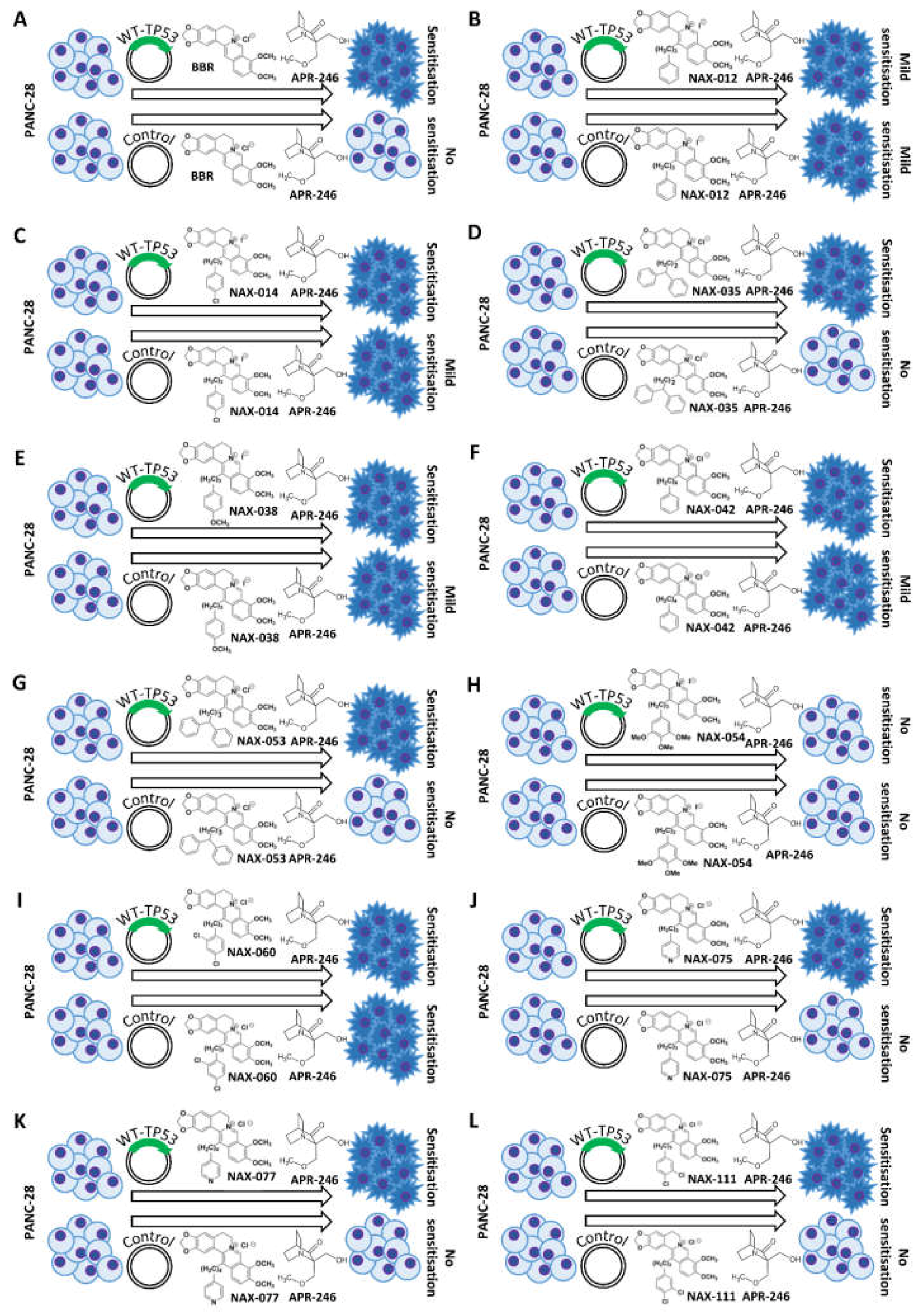 Biomolecules 12 00276 g018