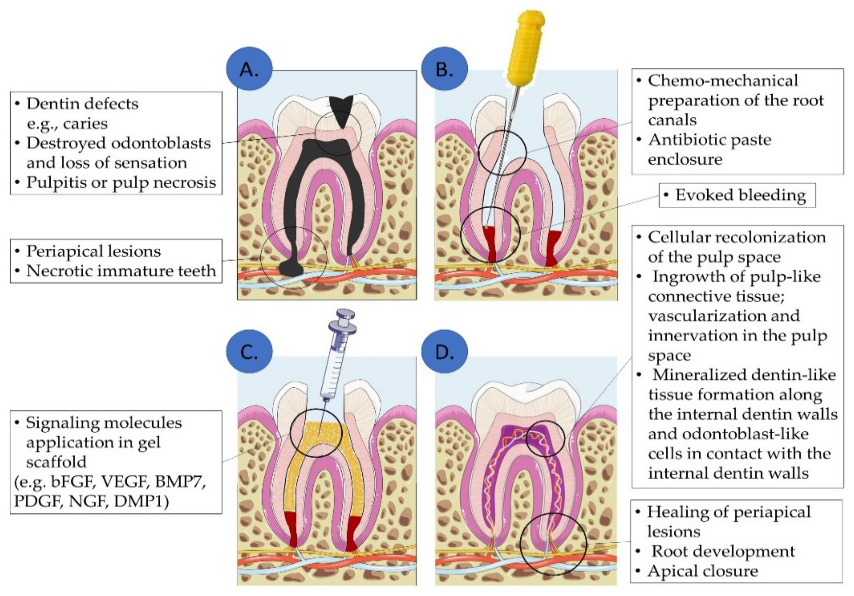 Biomolecules 12 00285 g003
