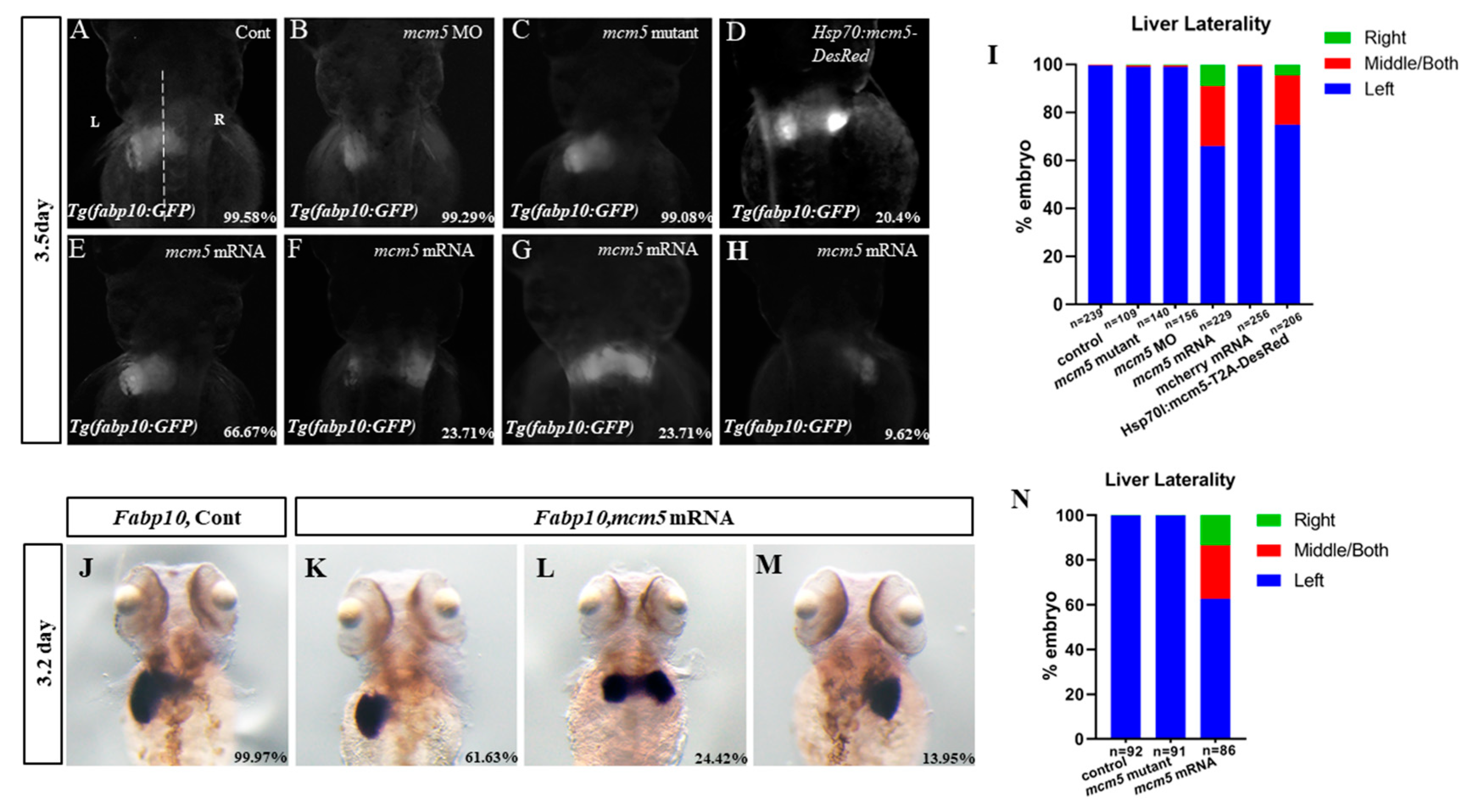 Biomolecules 12 00286 g001