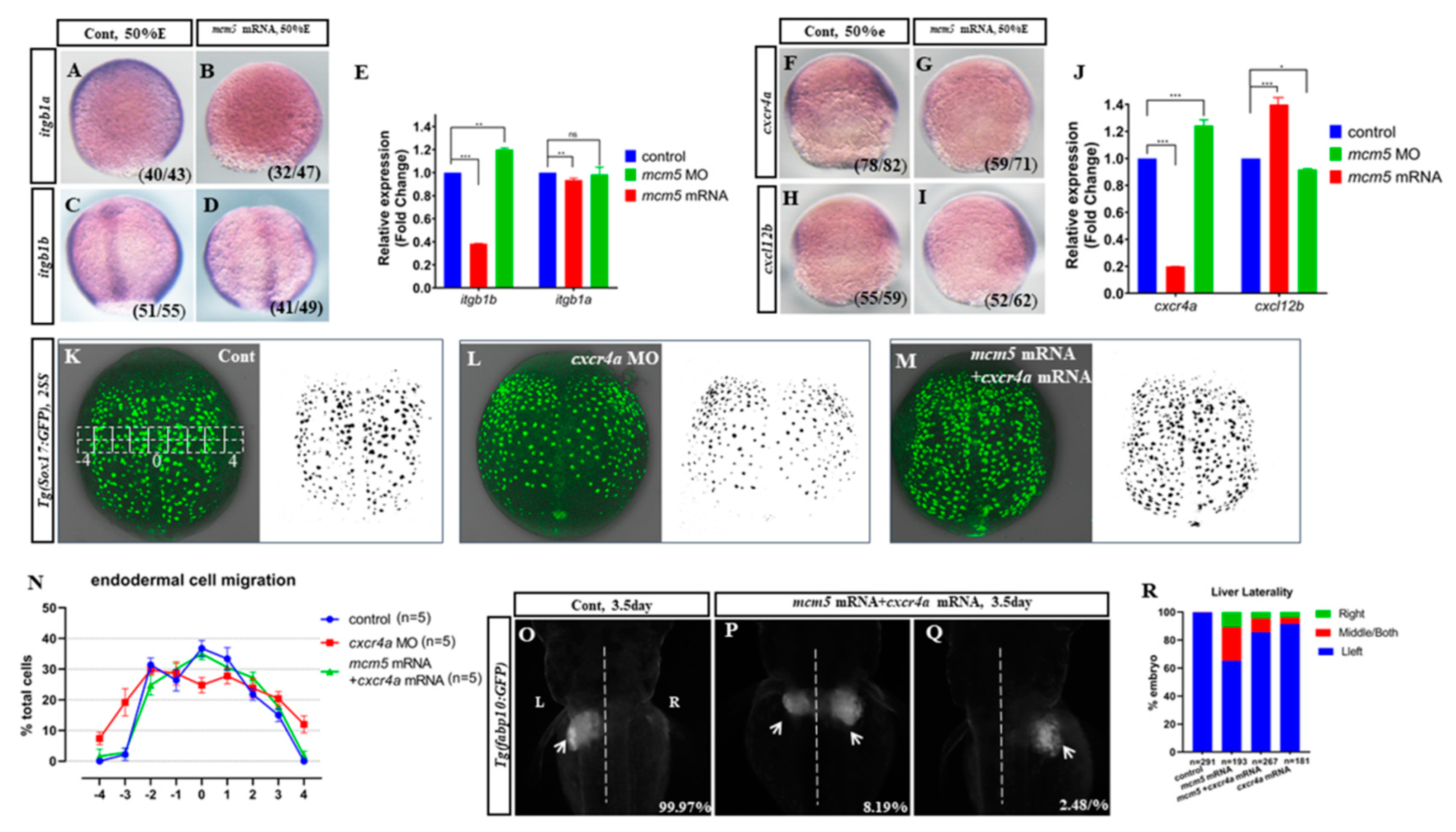 Biomolecules 12 00286 g004