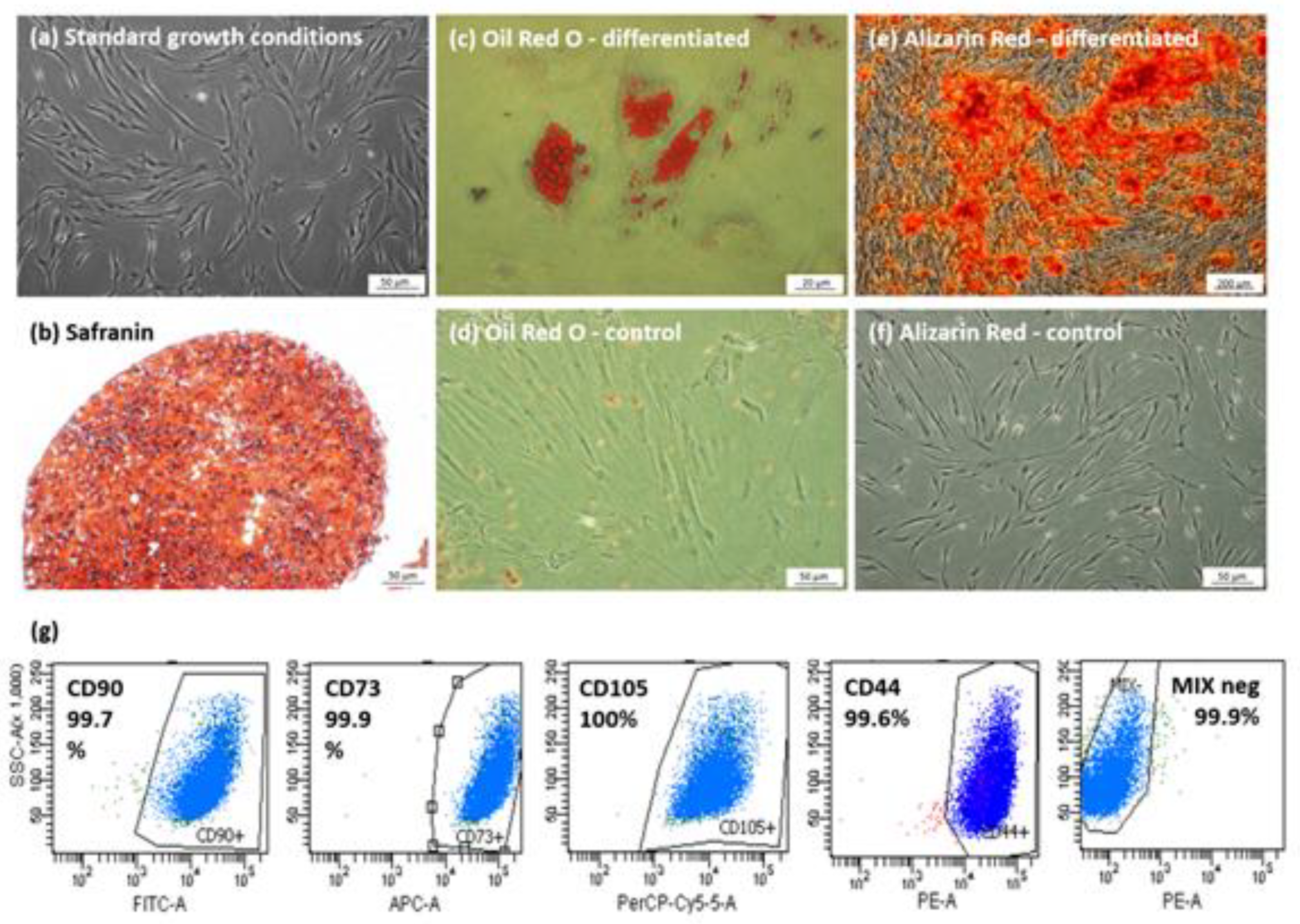 Biomolecules 12 00287 g001 Biomolecules 12 00287 g001