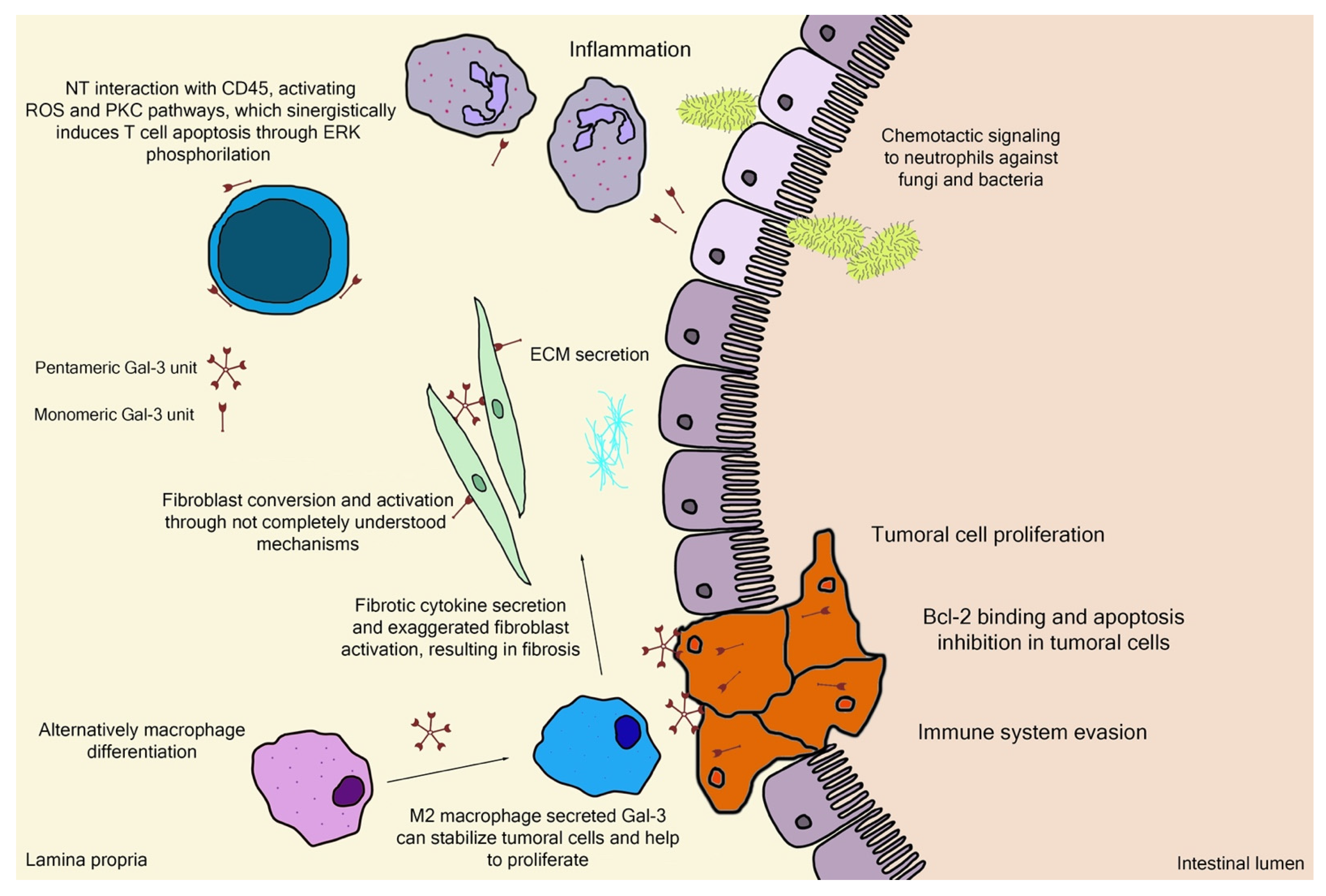 Biomolecules 12 00289 g003