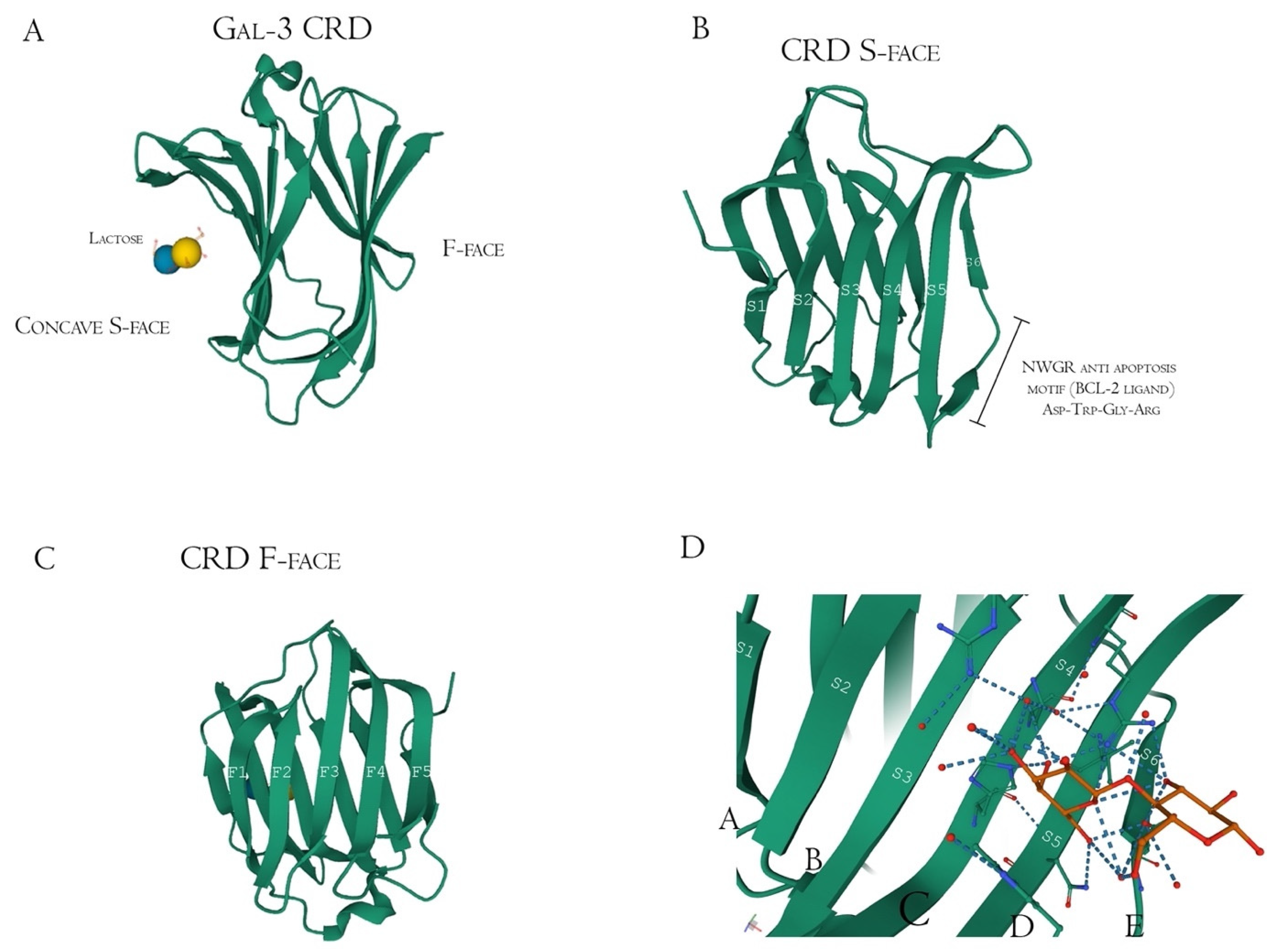 Biomolecules 12 00289 g004