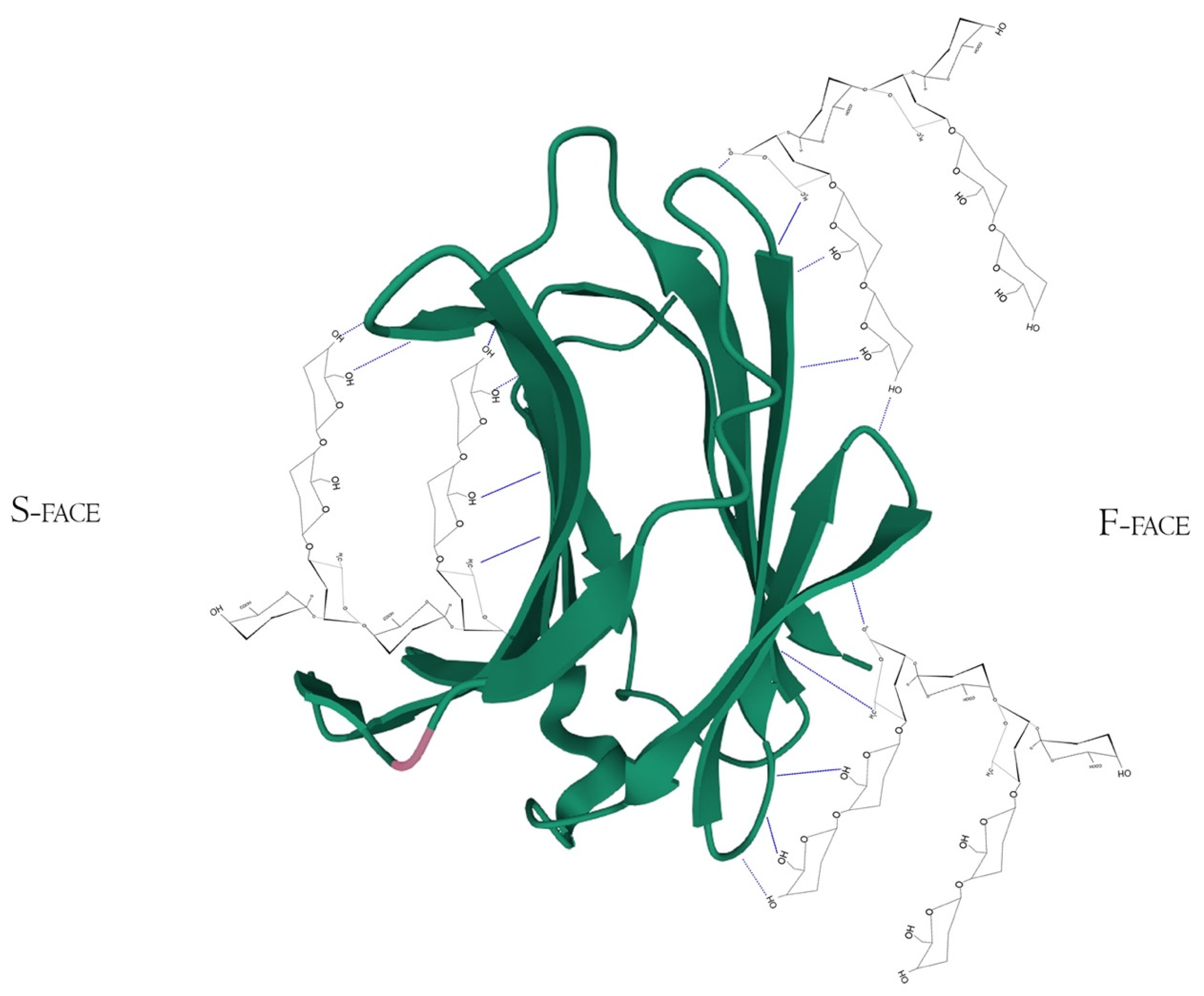 Biomolecules 12 00289 g005
