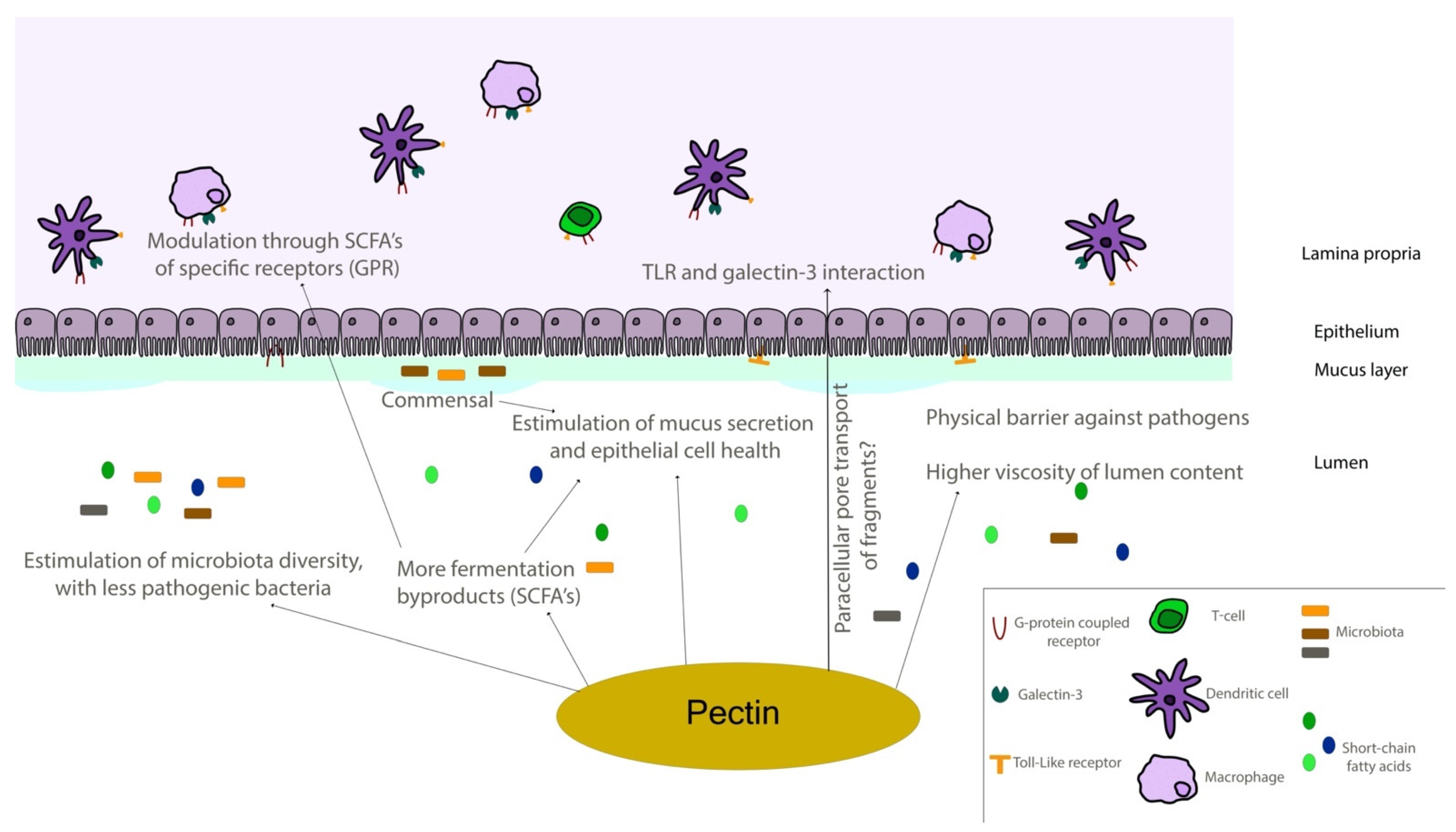 Biomolecules 12 00289 g006