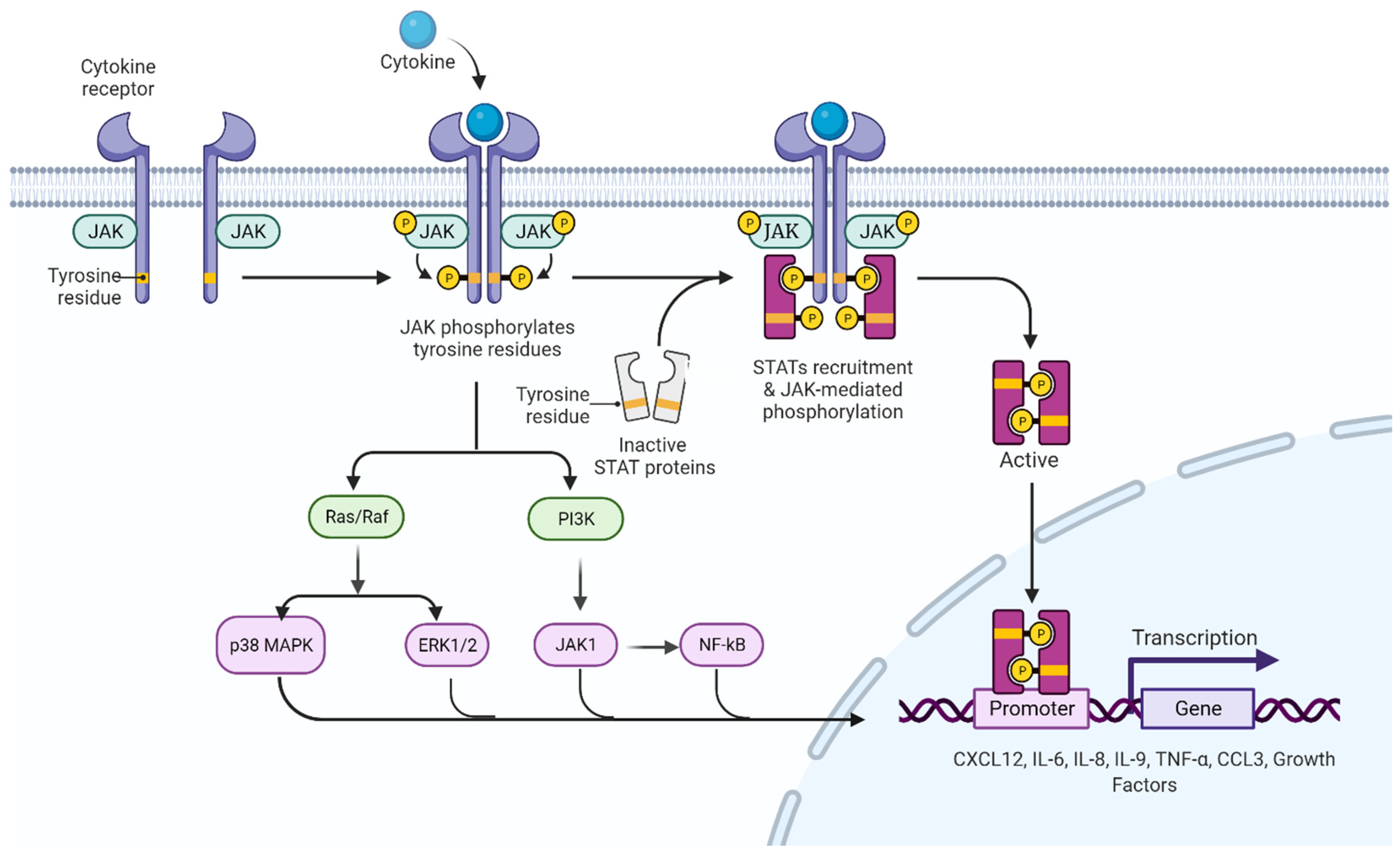 Biomolecules 12 00291 g003