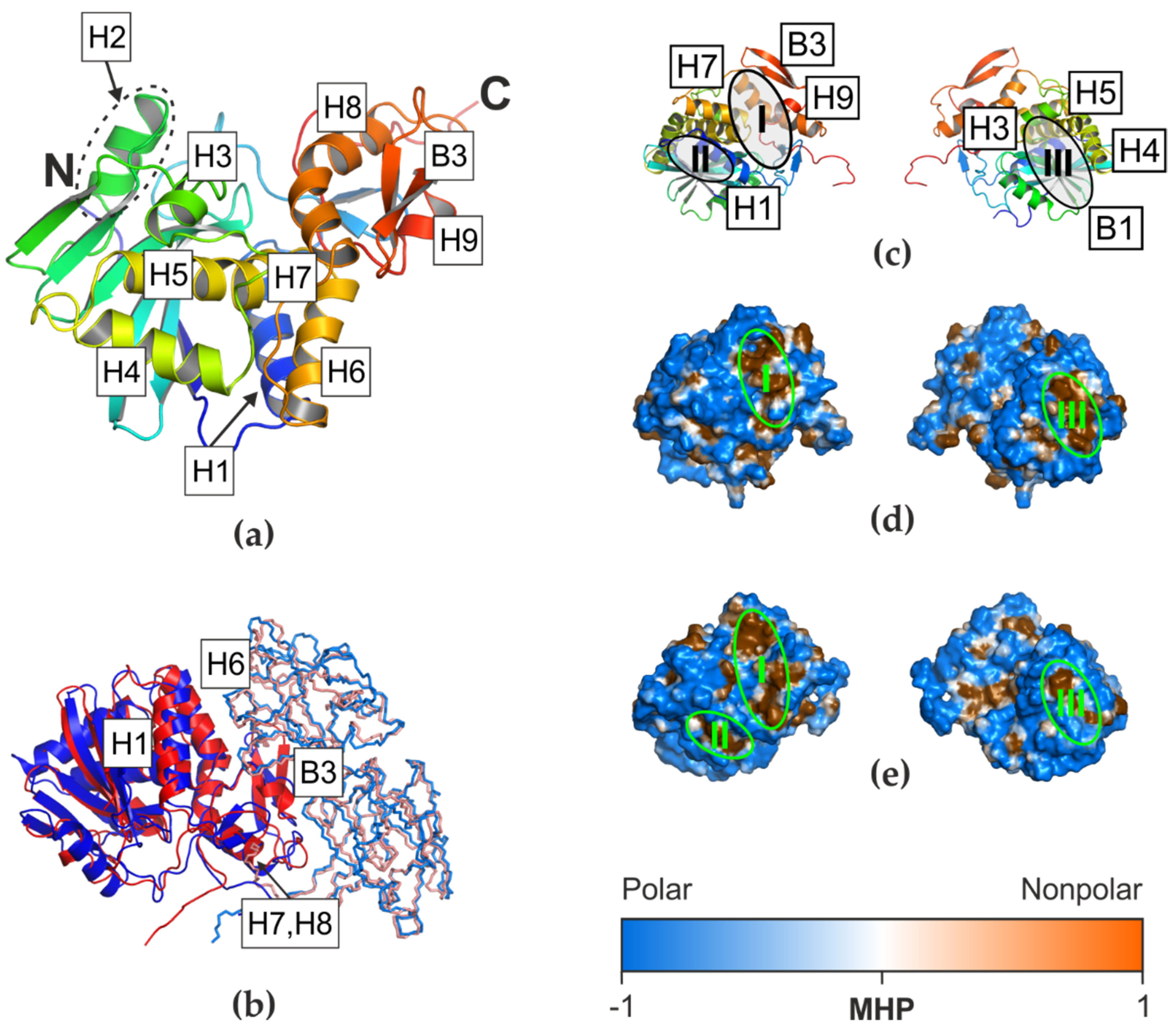 Biomolecules 12 00295 g002