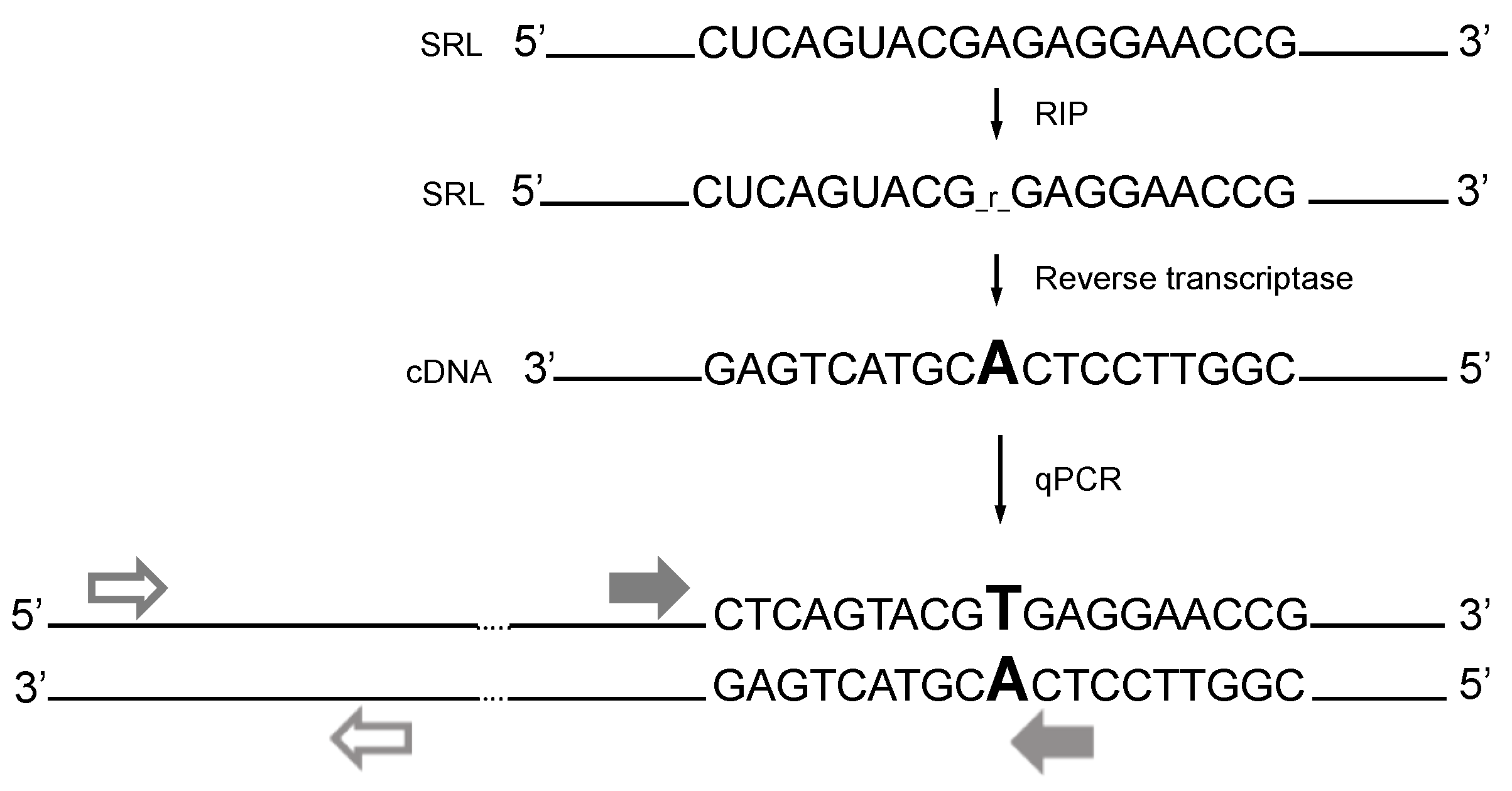 Biomolecules 12 00295 sch001