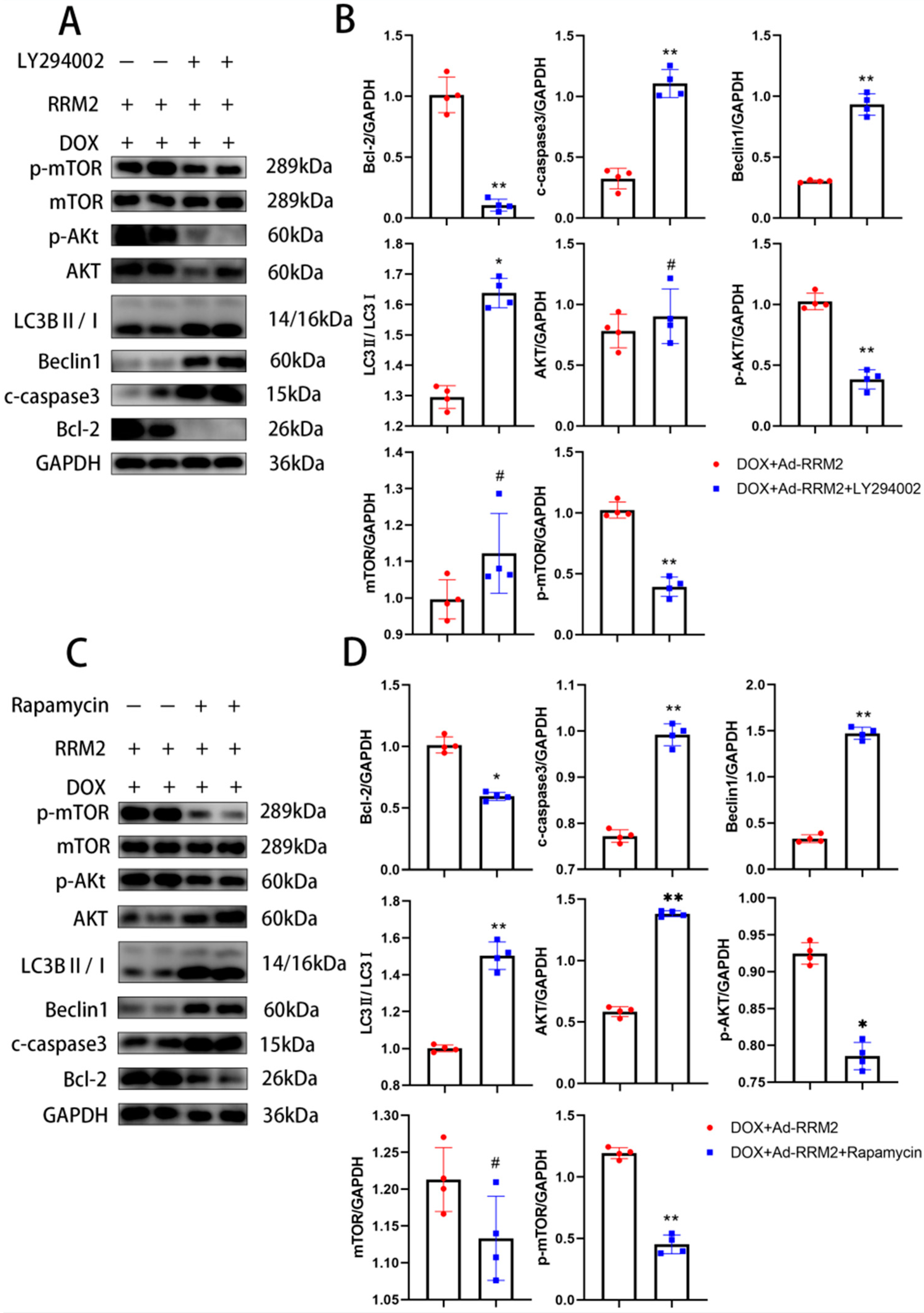 Biomolecules 12 00299 g007
