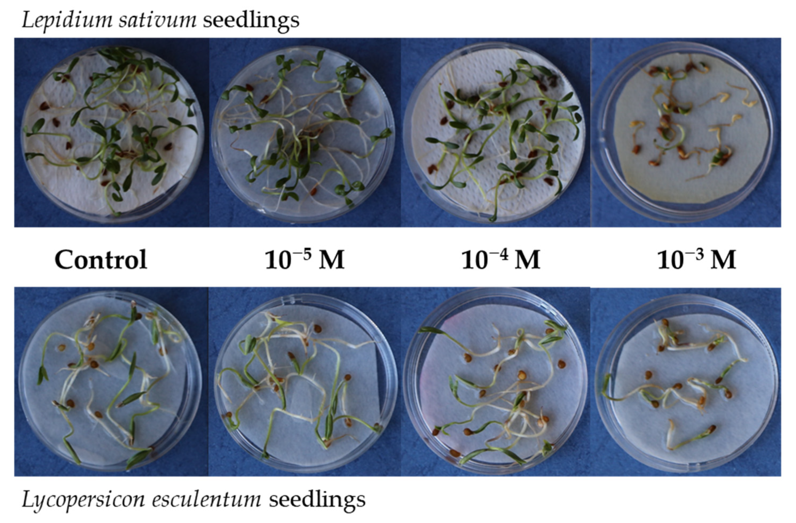 Biomolecules 12 00302 g001