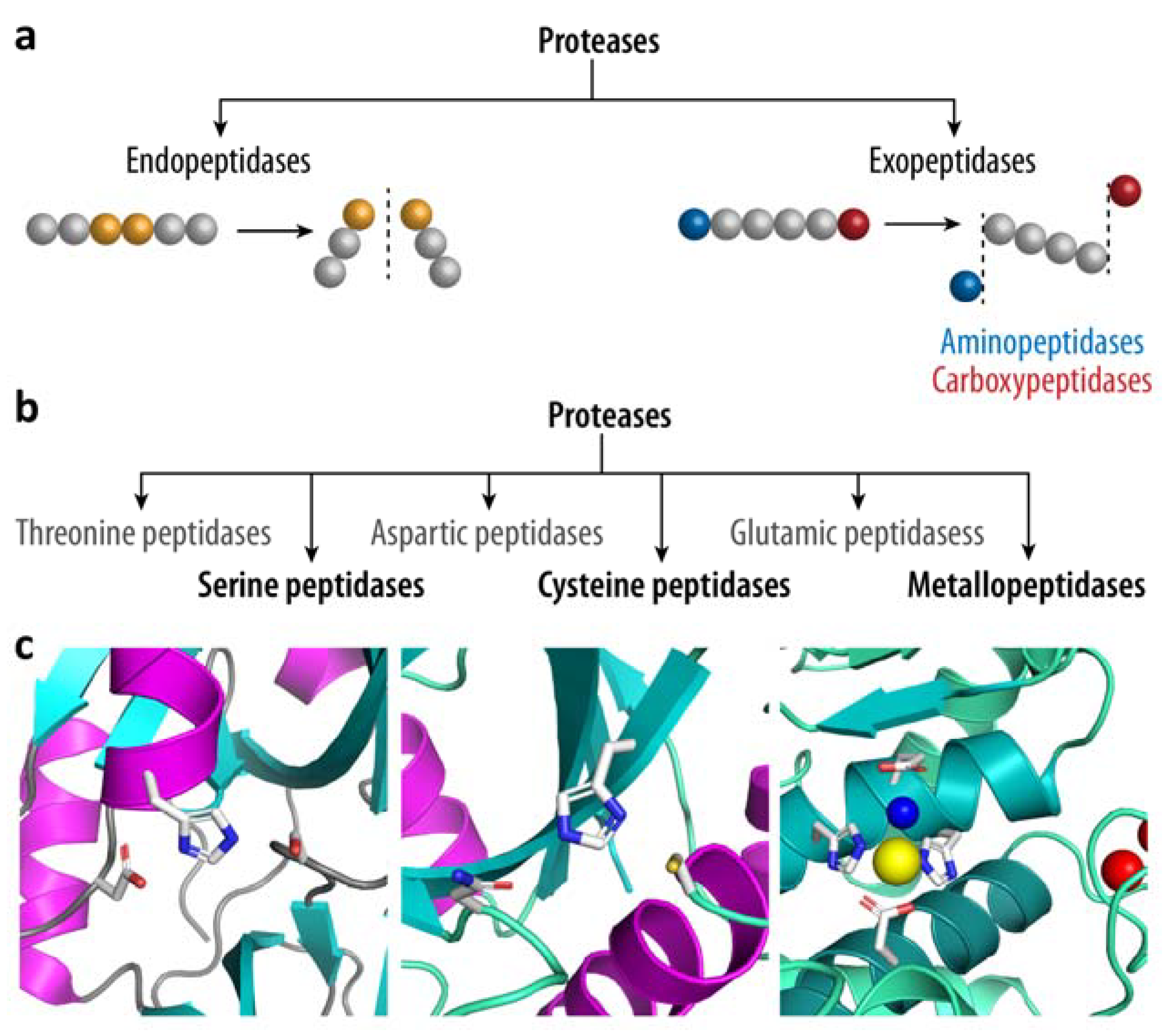 Biomolecules 12 00306 g002