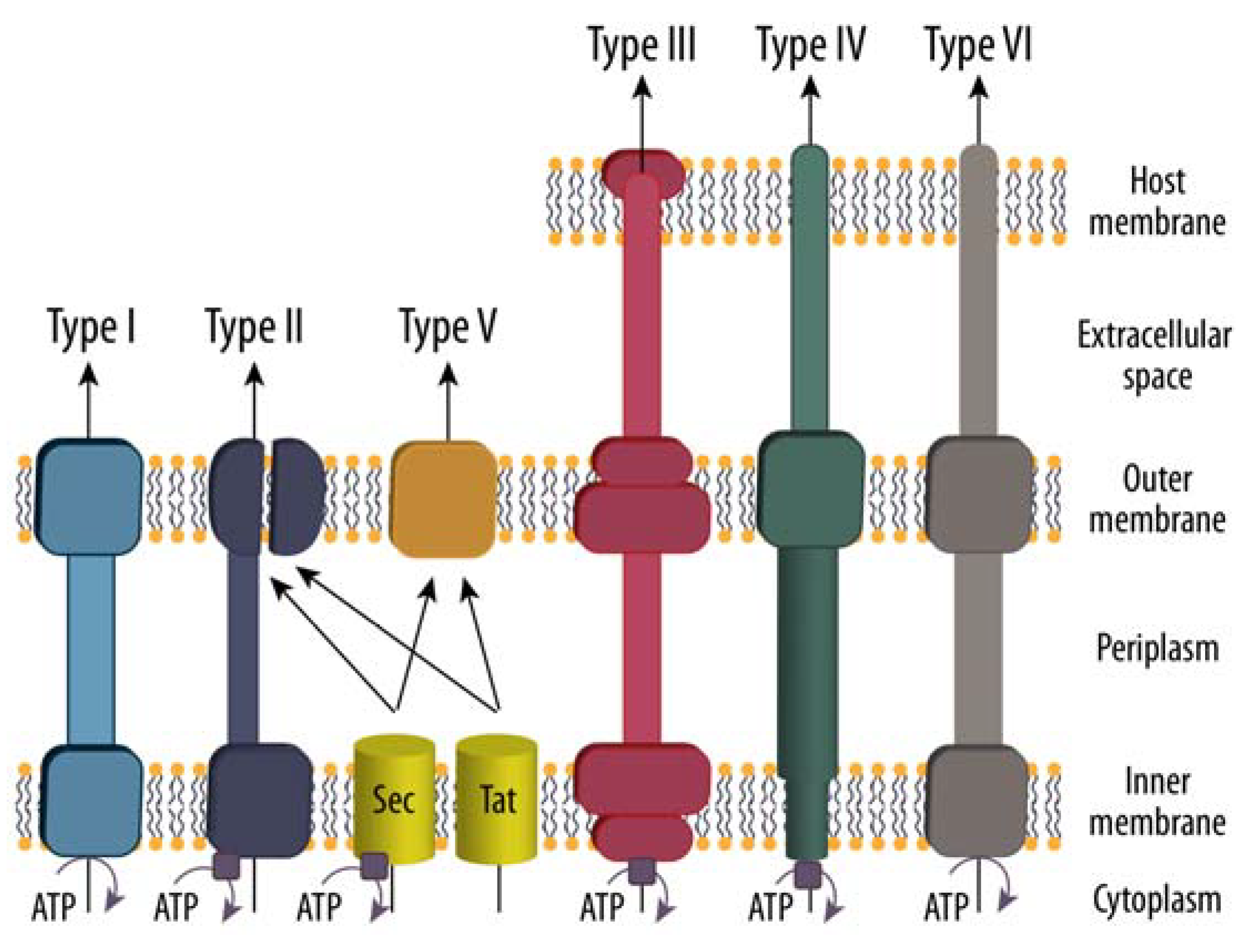 Biomolecules 12 00306 g003