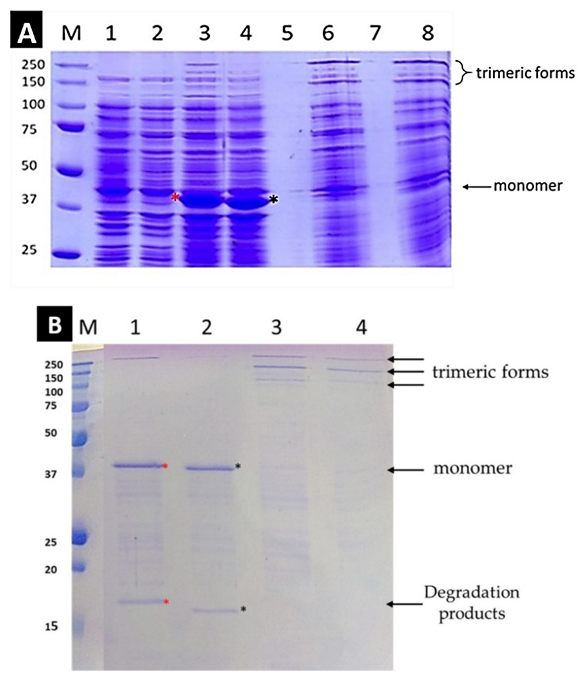 Biomolecules 12 00308 g001