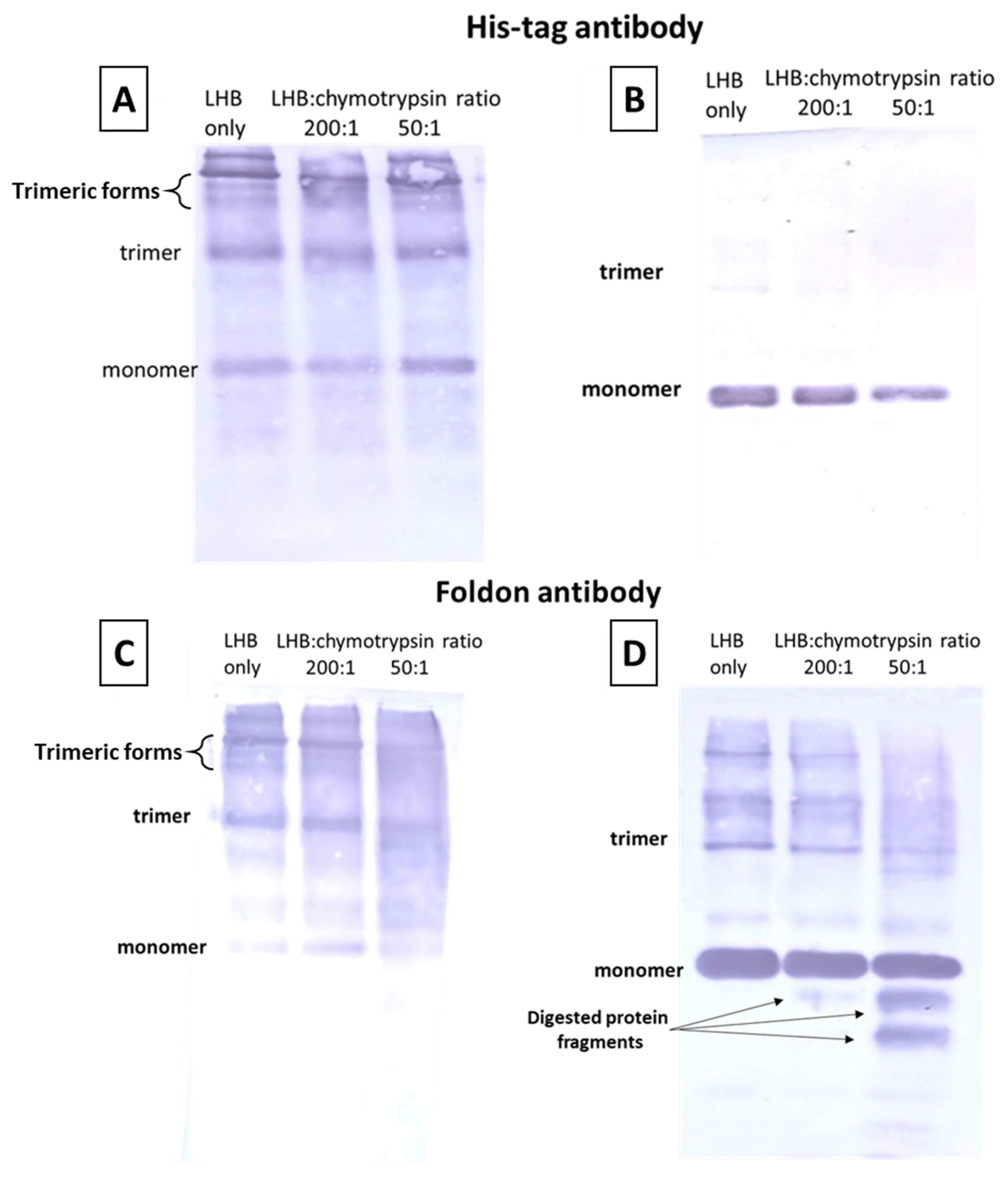 Biomolecules 12 00308 g004